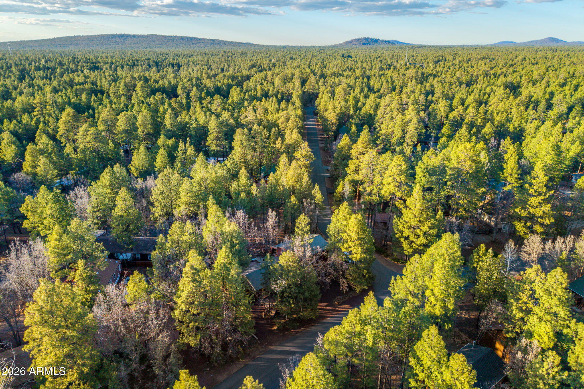 PINETOP LAKES MOUNTAIN HOMES UNIT 1 - Residential