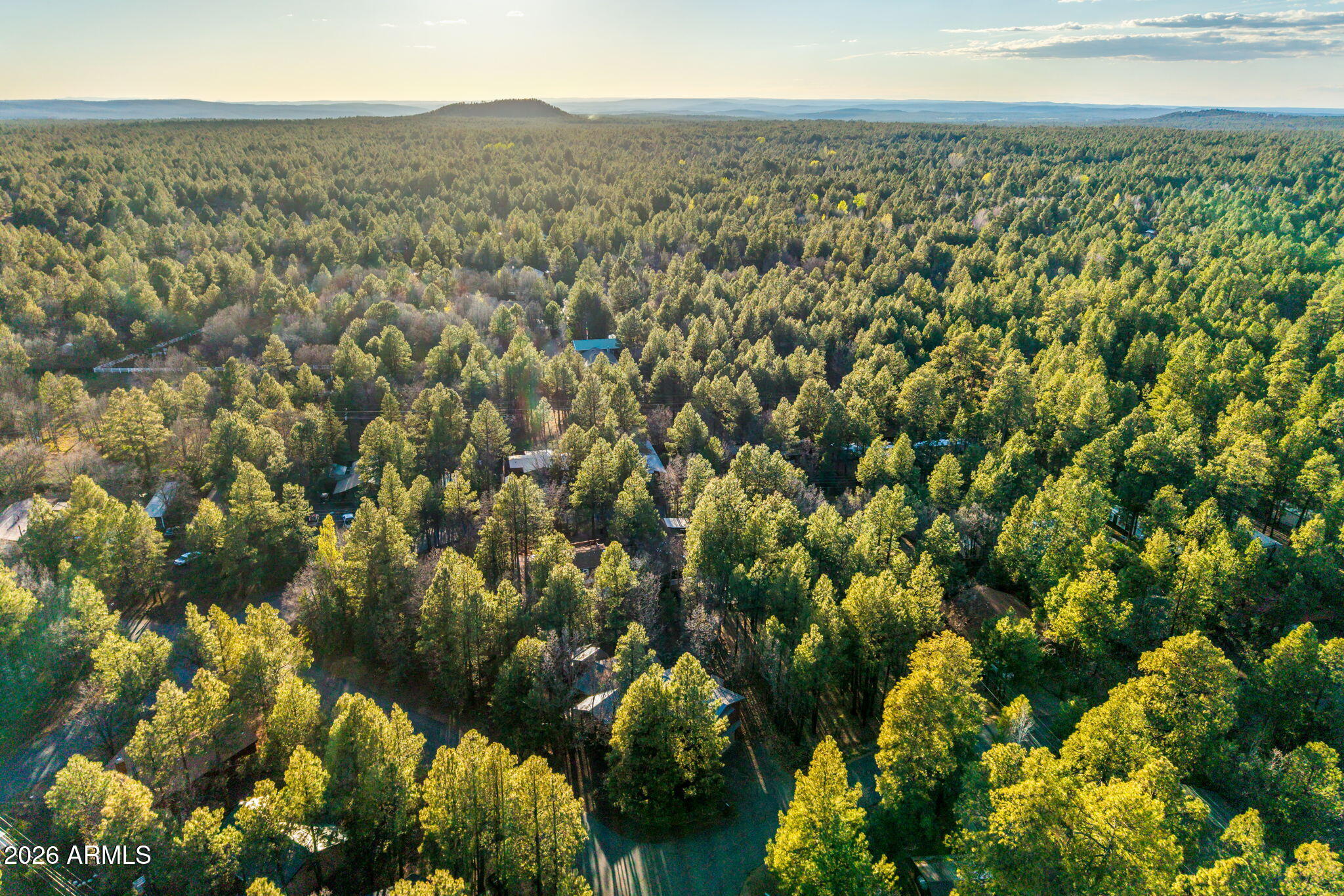 PINETOP LAKES MOUNTAIN HOMES UNIT 1 - Residential