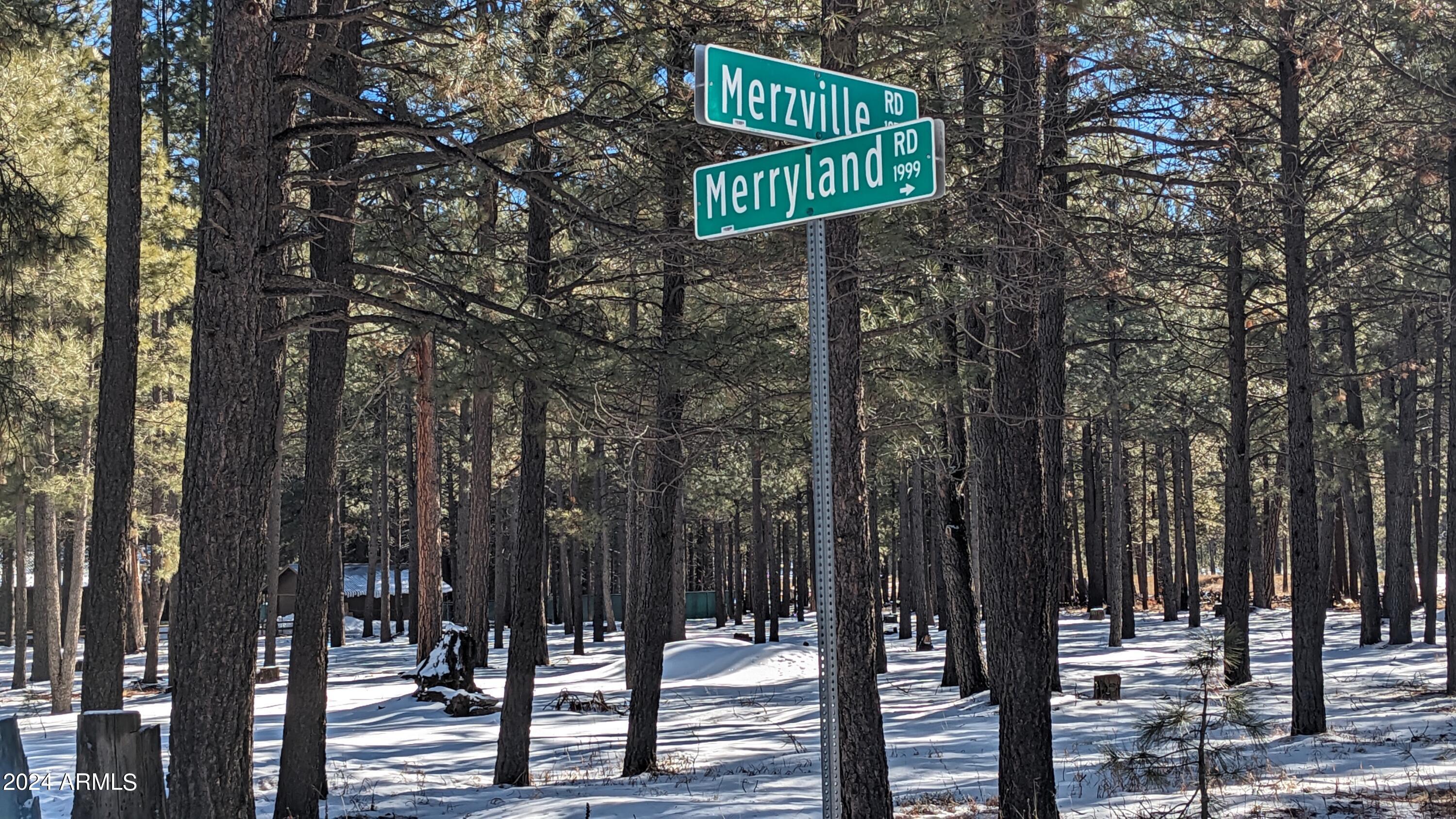 This attractive, level 1-acre corner lot is near one of the main entrances to the Forest Lakes subdivision. The zoning is CG10000, so this location is ideal for a commercial enterprise. However, the property is adjacent to properties with residential zoning and a buyer could consider seeking a zoning change for residential or multifamily uses. The trees have been thinned in accordance with Firewise standards, resulting in a beautifully wooded property that is ready for new construction. Seller is also offering the adjacent lot at 1019 Merzville Road, and buyers should consider purchasing both lots together. Forest Lakes is a premier residential/vacation community in the cool, tall pines at 7500 feet and only 2 hours from the valley.