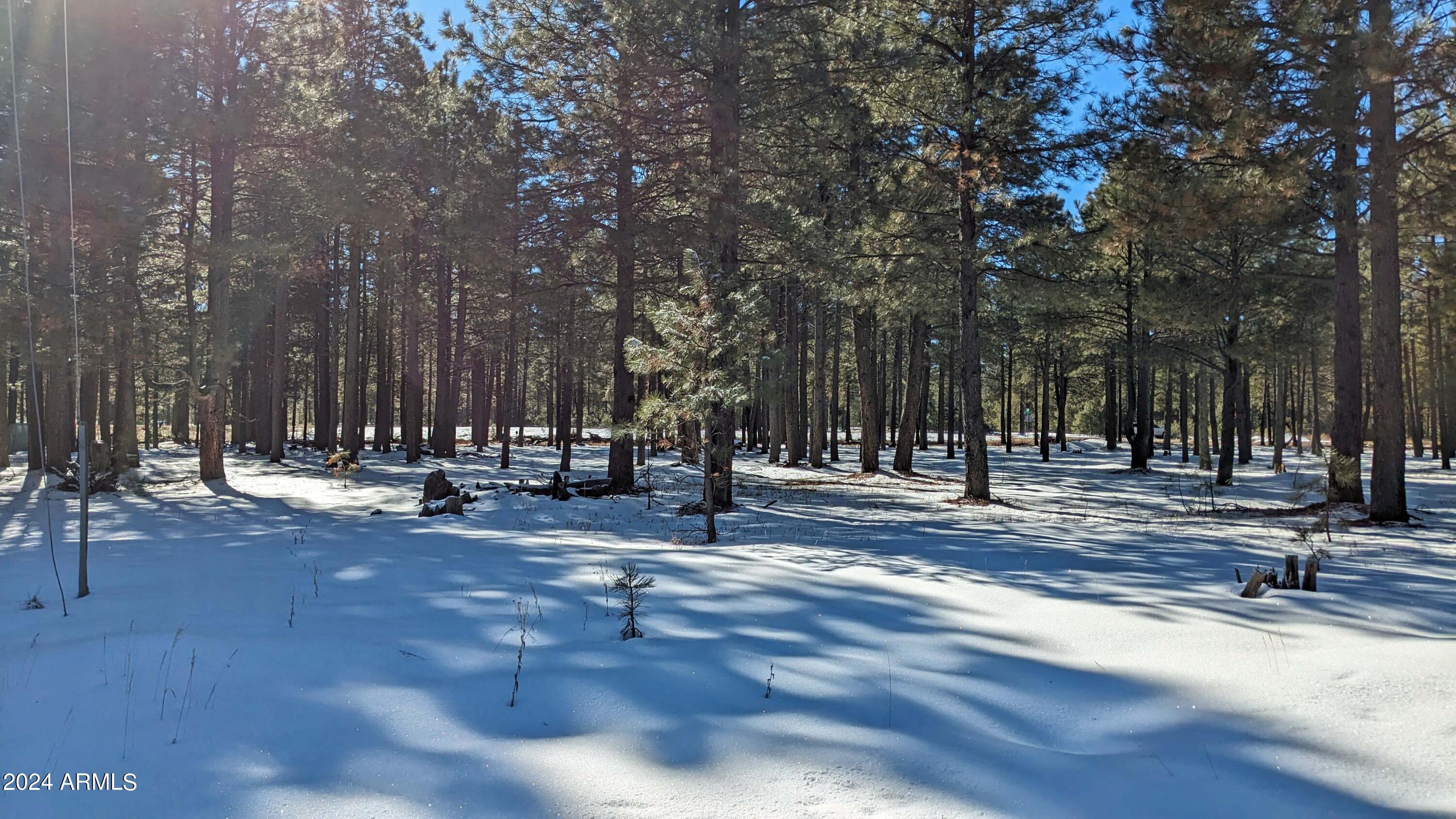 FOREST LAKES ESTATES 4 - Land
