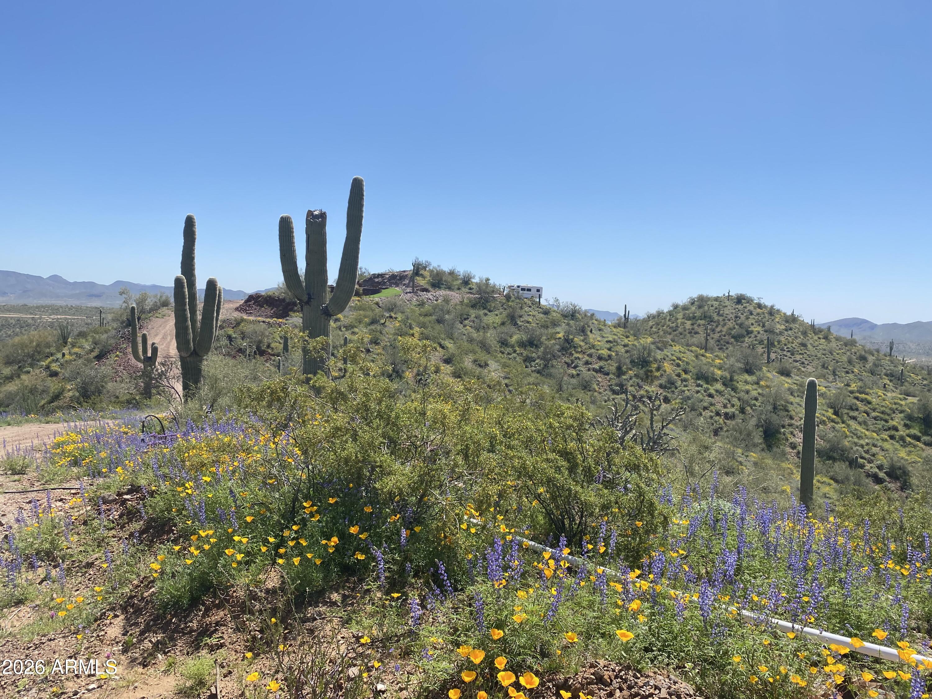 PLEASANT COUNTRY RANCHES UNIT 6 - Land