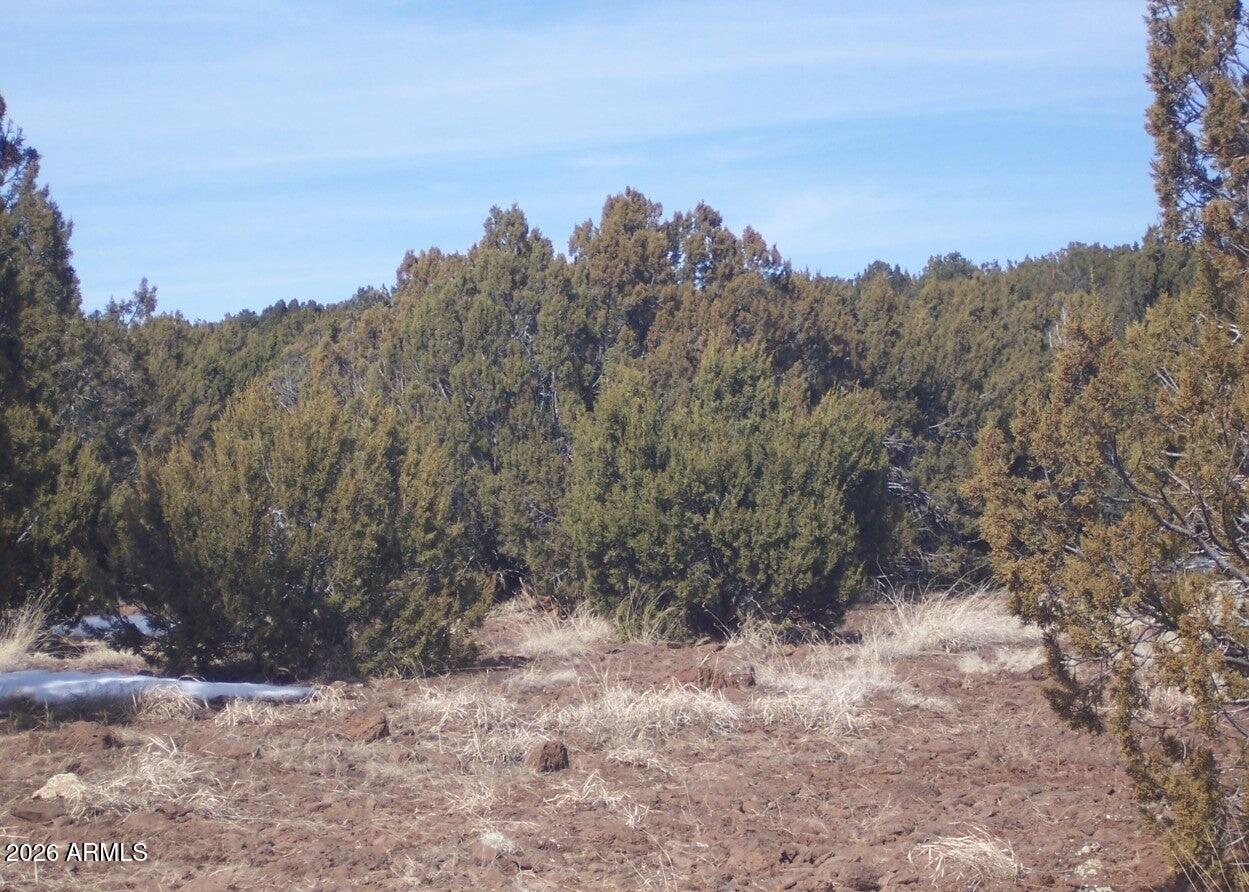 SHOW LOW PINES UNIT 10 - Land