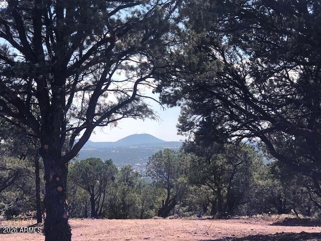 Stunning 360-degree views on this 4.8 acre property atop the Mountain Pine Ranch subdivision in Vernon, just 10 minutes to Show Low. Mature juniper and pinon pine trees galore, offering privacy and tranquility. The owner has already done much of the development for you to make your home building process quicker. You'll love the large, winding, cinder driveway taking you back to the level, cleared pads the owner created for a luxurious home, garage, workshop, etc. amidst the spectacular mountain views. The electrical pedestal is in, along with conduit buried to the driveway for a possible future electric gate. The septic and leach field are installed with a 1250 gallon tank. The 5000 gallon water tank is ready to fill. Either drill your own well, or haul FREE water from the Mountain Pine Ranch Community Well to store in your tank. The Annual HOA dues are only $100, which includes not only access to the free water in the community well, but a place to dump both your household waste and green waste. What a bargain! This is a one of a kind property! What kind of home do you imagine waking up in with gorgeous sunrises from your cathedral windows or sitting on the back deck? No matter which direction you build your home, you'll have phenomenal views. Listing Agent has builder contacts, and offers initial project management services, to help expedite your dream home process. Please inquire for more information. Seller owns a 2018, 44' Hartland Road Warrior 427 that is not on the property, but he would be willing to sell outside escrow, if it is something you would want to live out of during construction once you get your approval to build from the HOA & County.