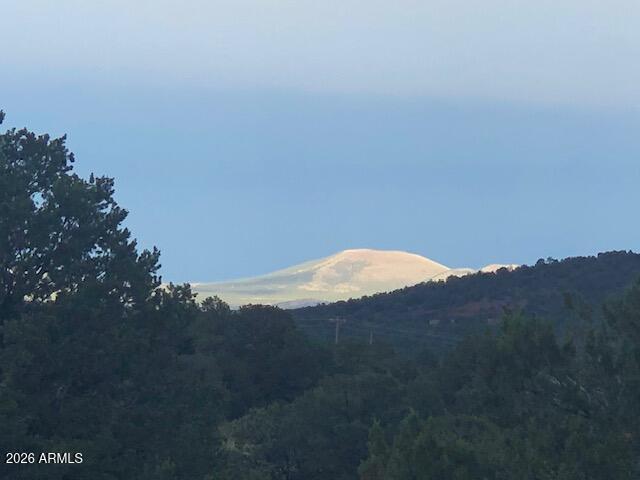 Mountain Pine Ranch - Land