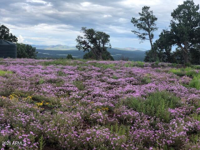 Mountain Pine Ranch - Land