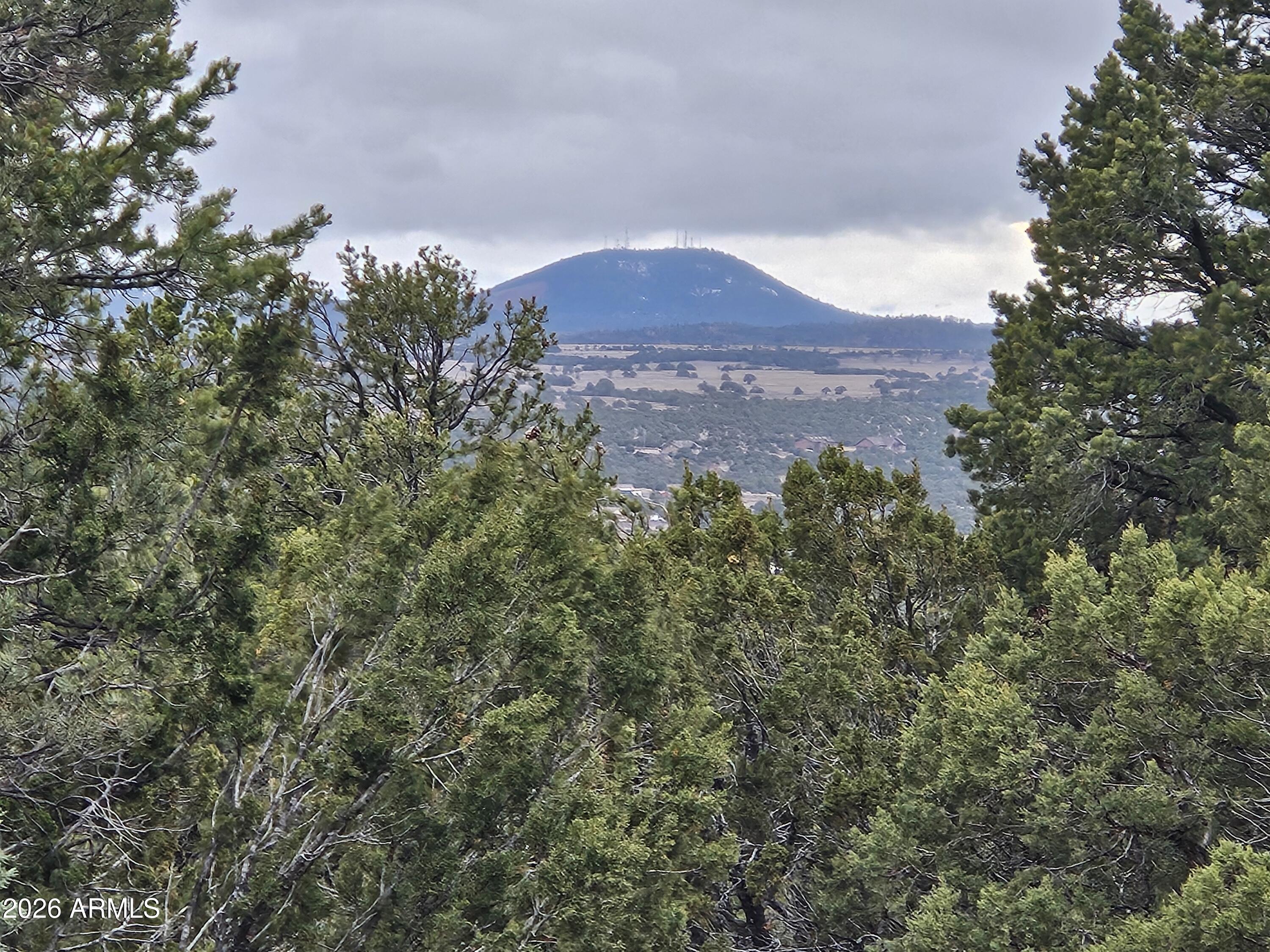 Mountain Pine Ranch - Land