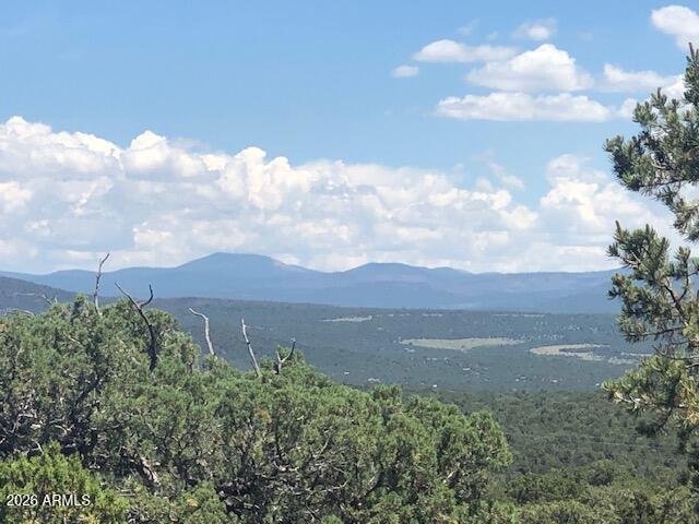 Mountain Pine Ranch - Land