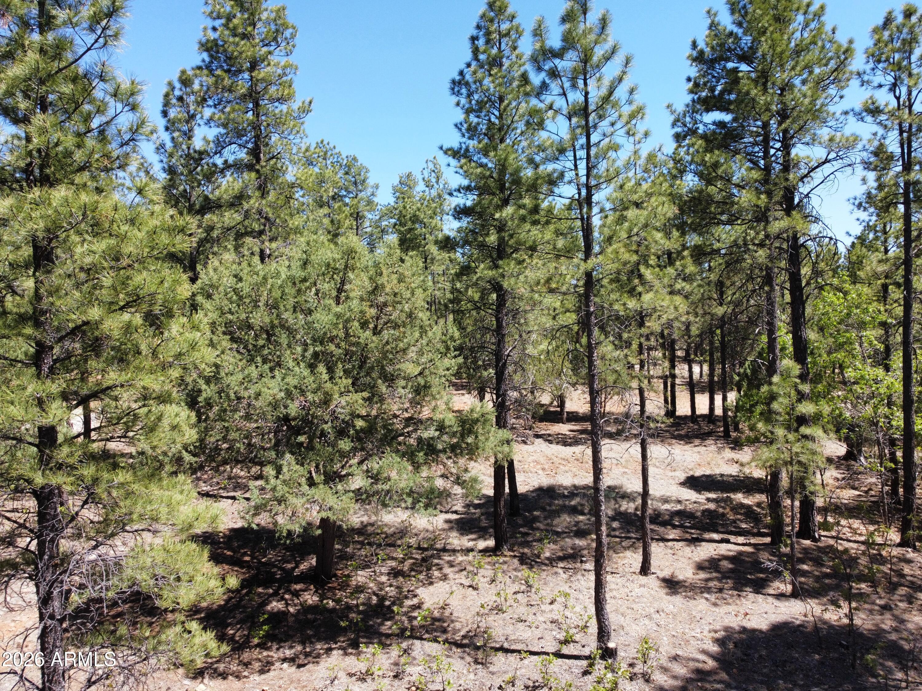 Build your Dream Home on this beautiful one-acre lot in Starlight Pines. Septic already installed. Water and electric at property. Corner lot on a cul de sac. Loaded with ponderosa pines, oak and juniper trees. Owner/Agent.