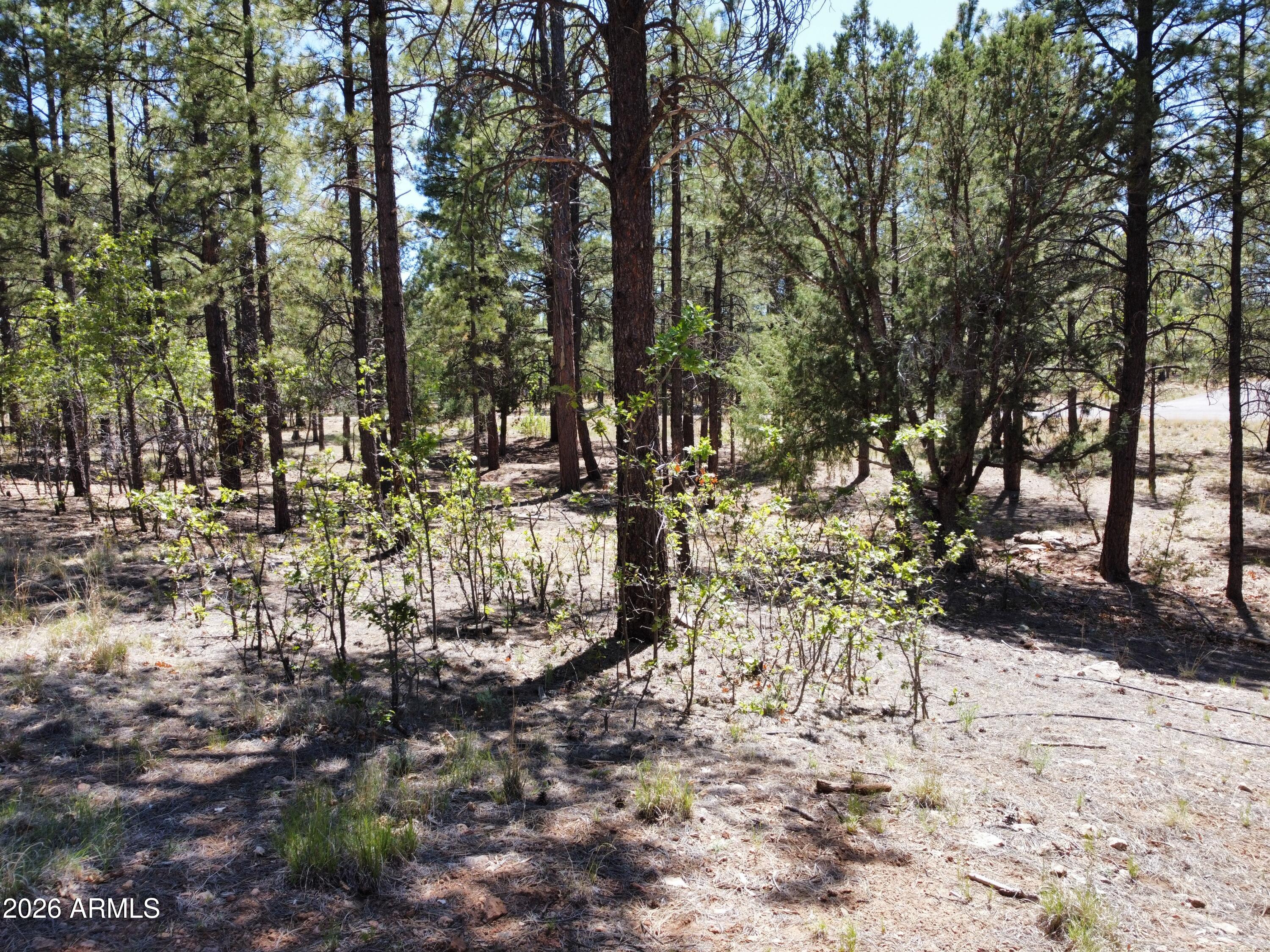 STARLIGHT PINES 4 PHASE 1 - Land