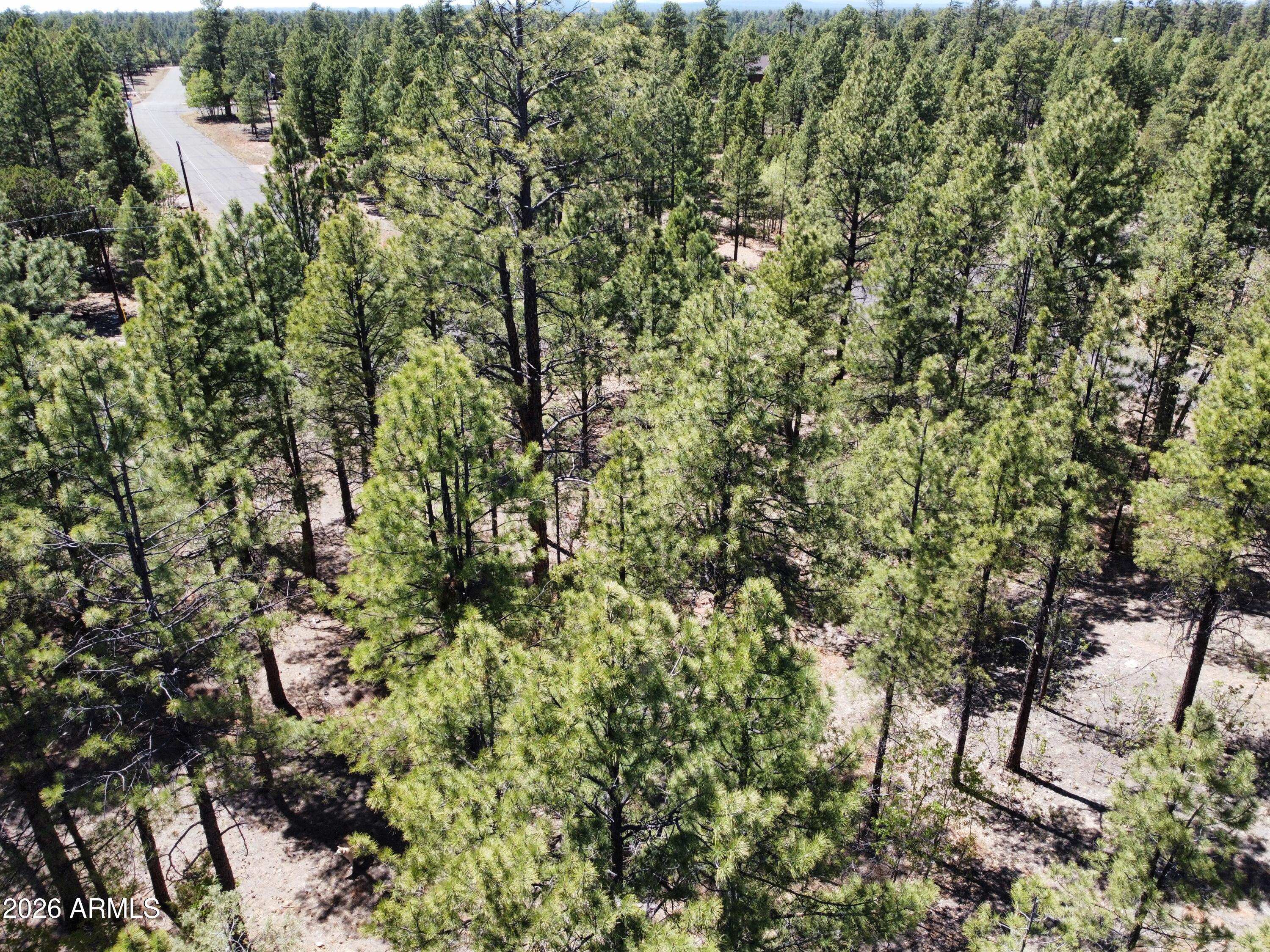 STARLIGHT PINES 4 PHASE 1 - Land