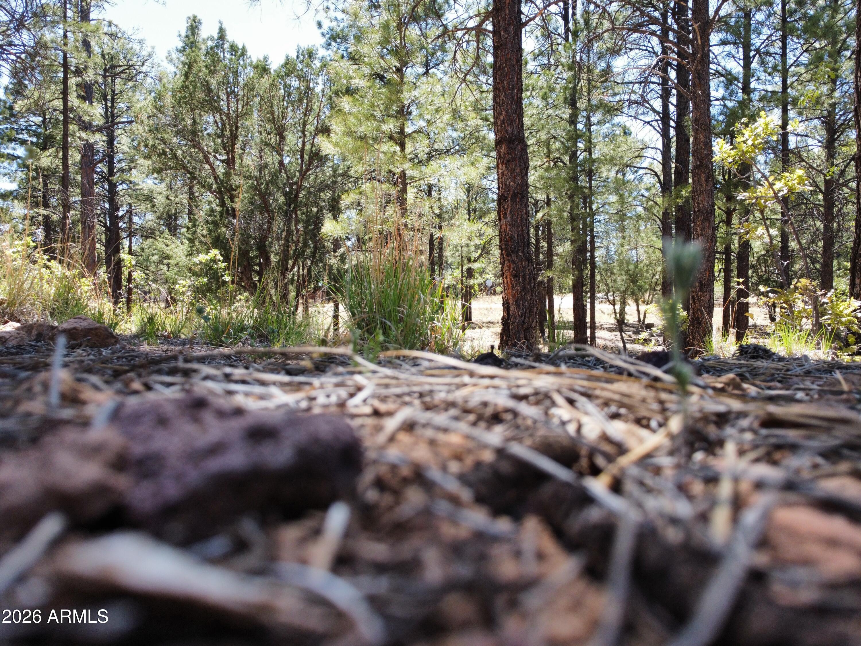 STARLIGHT PINES 4 PHASE 1 - Land