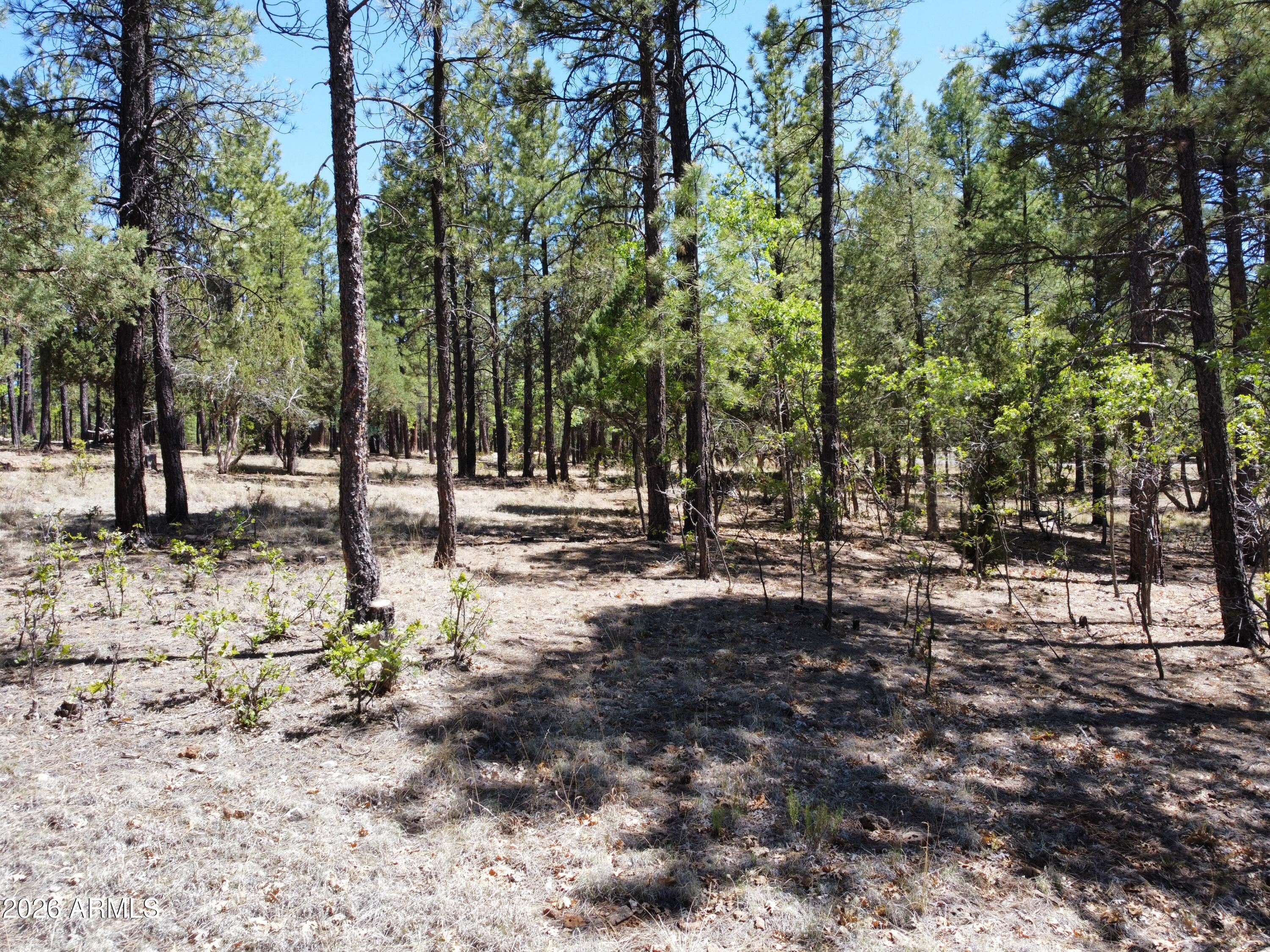 STARLIGHT PINES 4 PHASE 1 - Land
