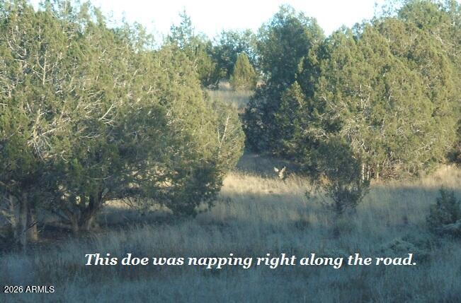 Westwood Ranches - Land