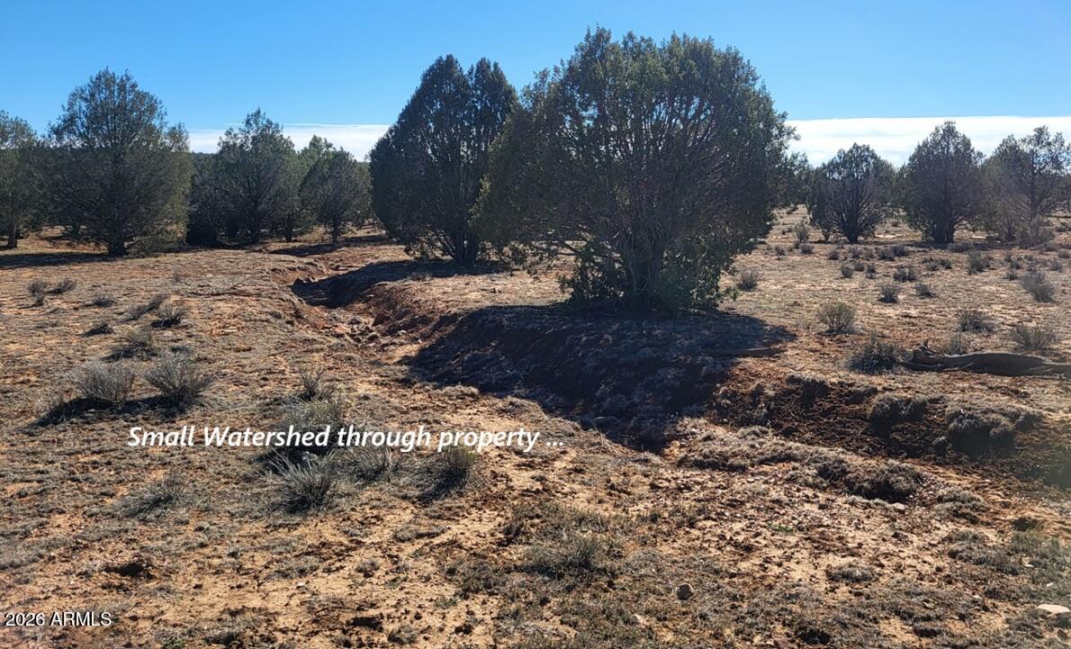 Westwood Ranches - Land