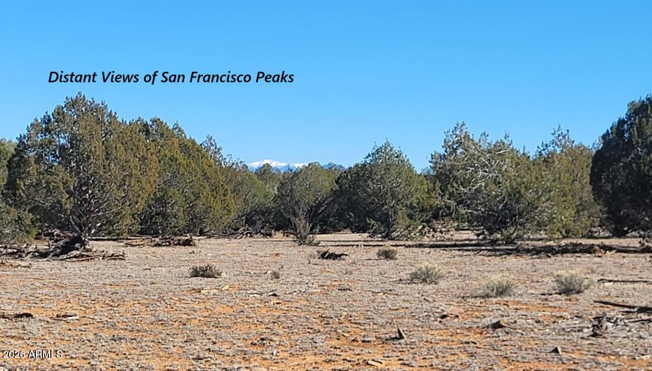 Westwood Ranches - Land