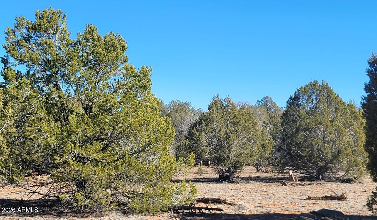 Westwood Ranches - Land