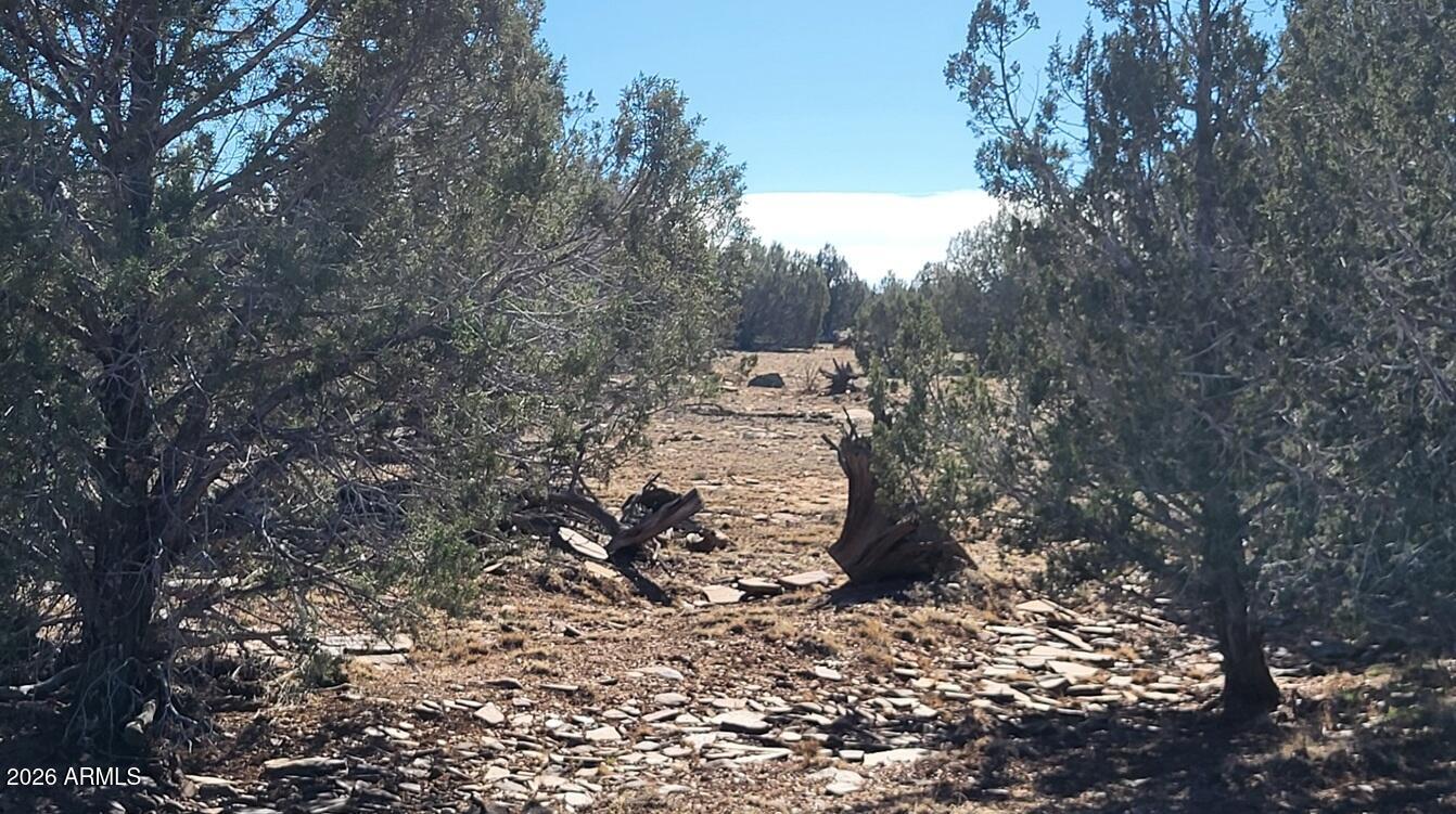 Westwood Ranches - Land