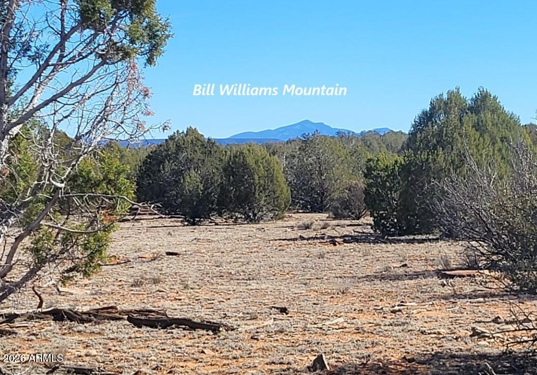 Nice 20 acres, with small valley between the north and south sides. Small watershed runs through the valley. Elevated views of Bill Williams Mountains. This property has flagstone that could be used for your own building. Nice open areas and lots of elbow room. Located on the fabulous Westwood Ranch Off-Grid Development. There is a Road Association, but no HOAs. Coconino County still calls this area the Wild West. Elk and Deer country Hunt Unit 10. The east 20 acres is available if you wanted a 40 acre parcel. 74,000. Your addressing would be Williams AZ. 85 degree summers and mild winters. Just the right amount of snow. Come check this out !!!
