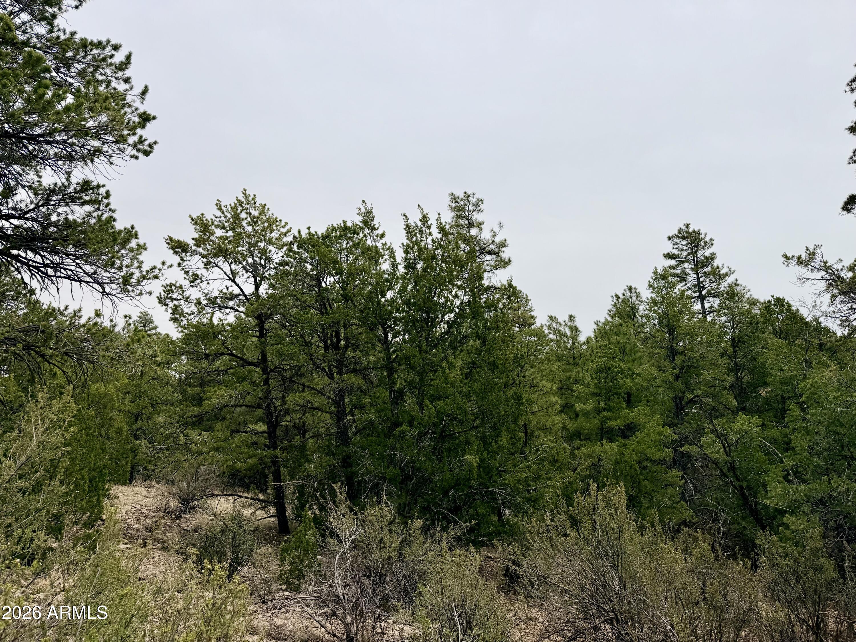 MOGOLLON RANCH 2 - Land