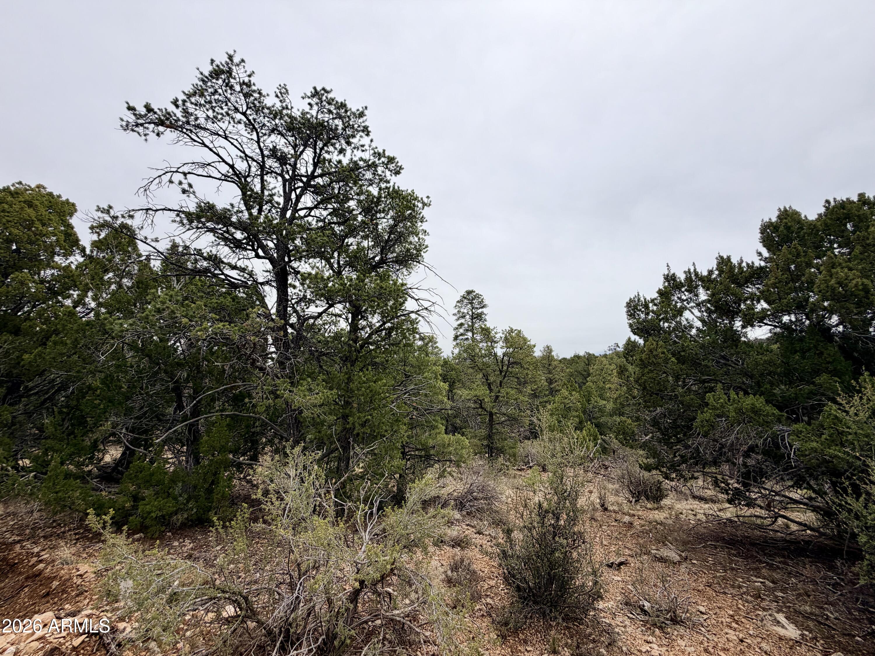 MOGOLLON RANCH 2 - Land