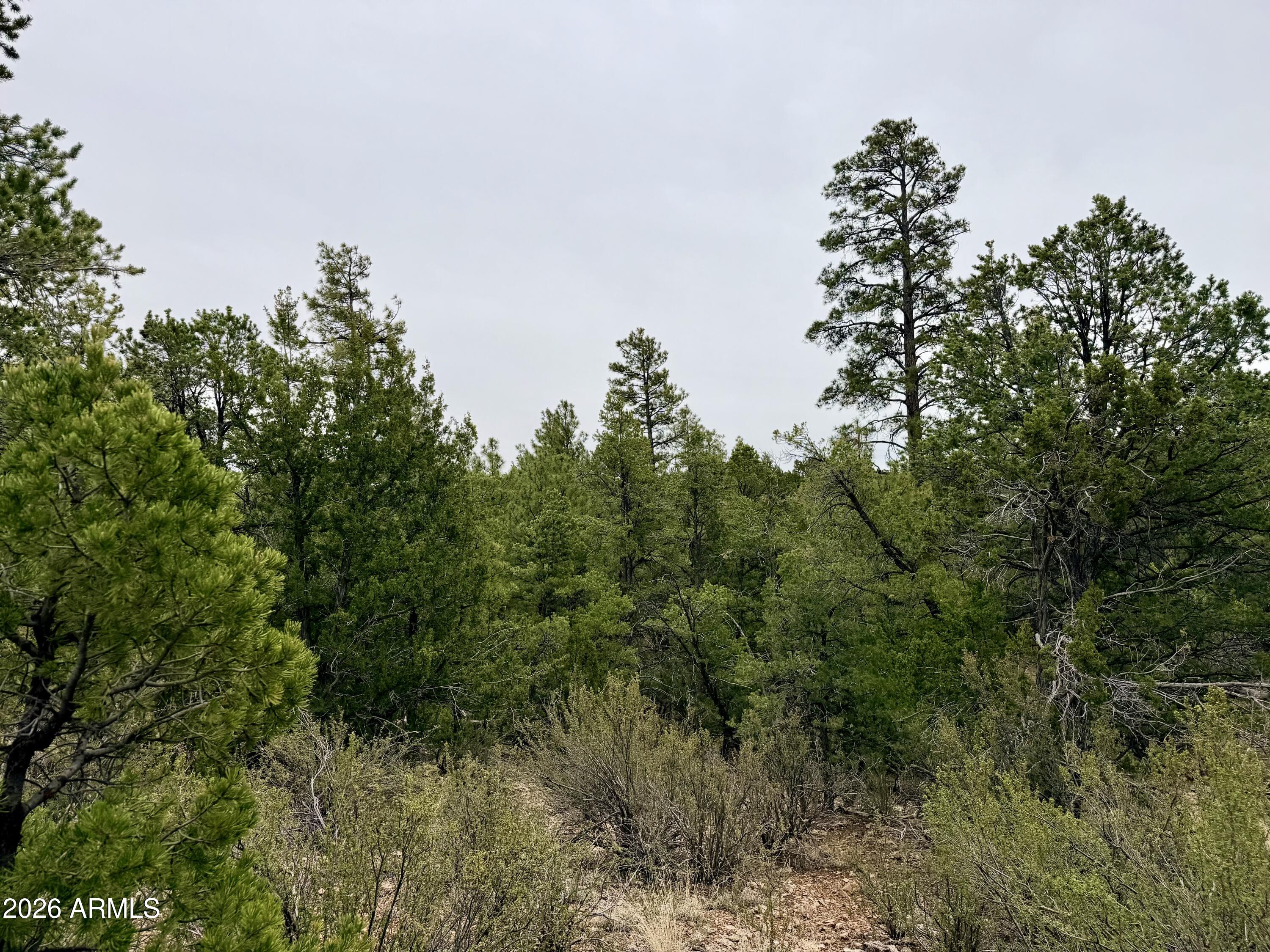 MOGOLLON RANCH 2 - Land