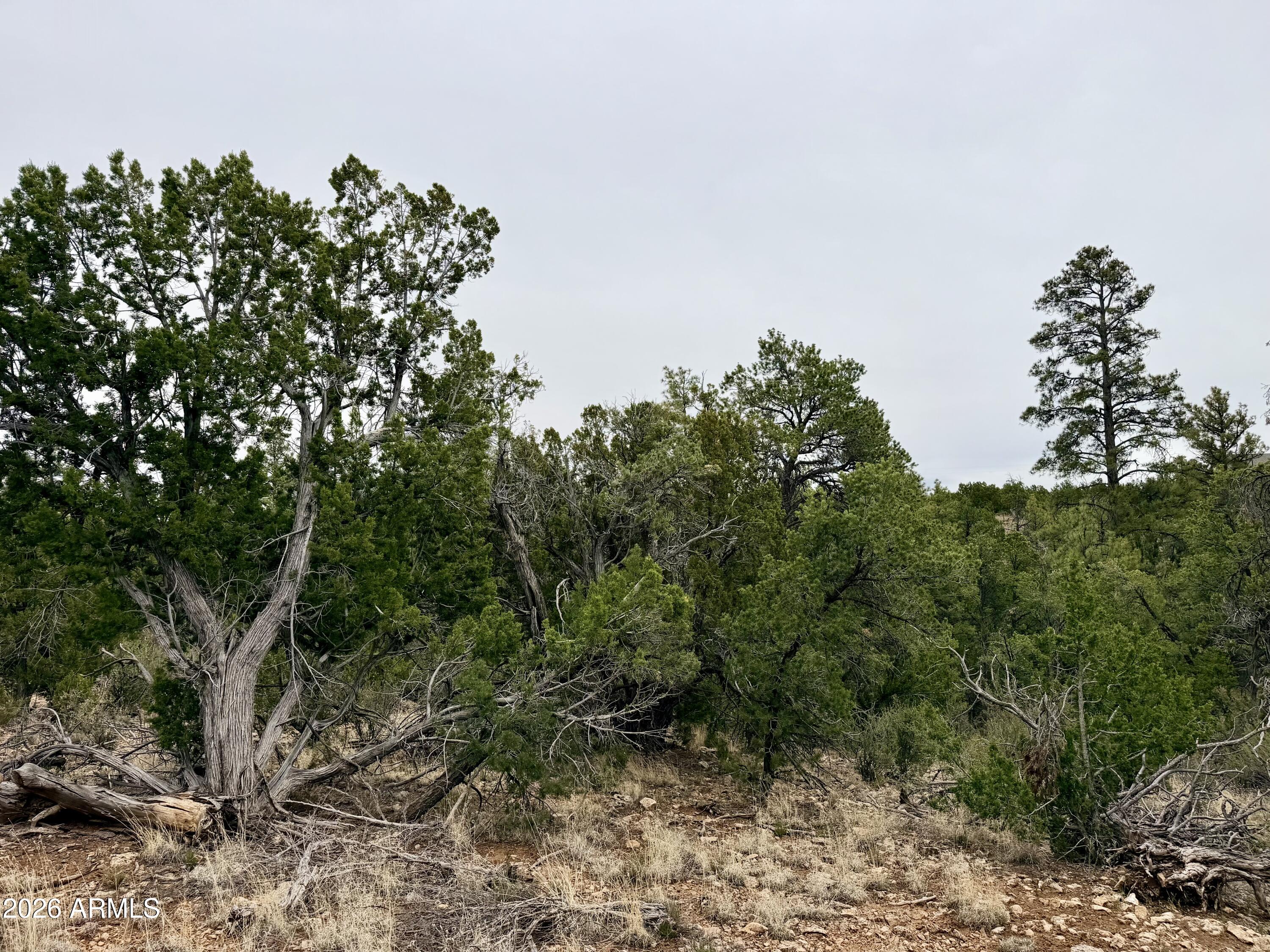 MOGOLLON RANCH 2 - Land