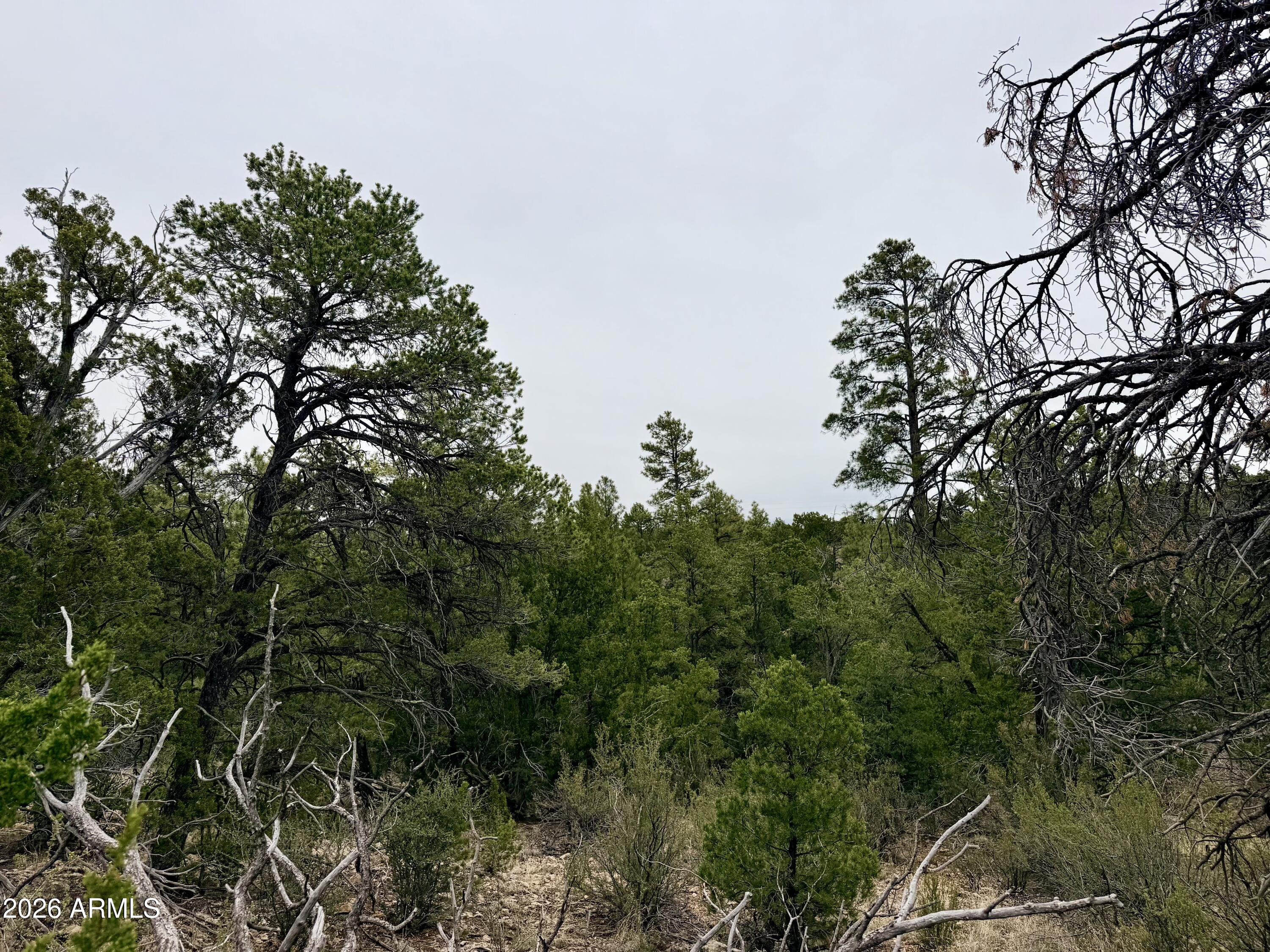 MOGOLLON RANCH 2 - Land