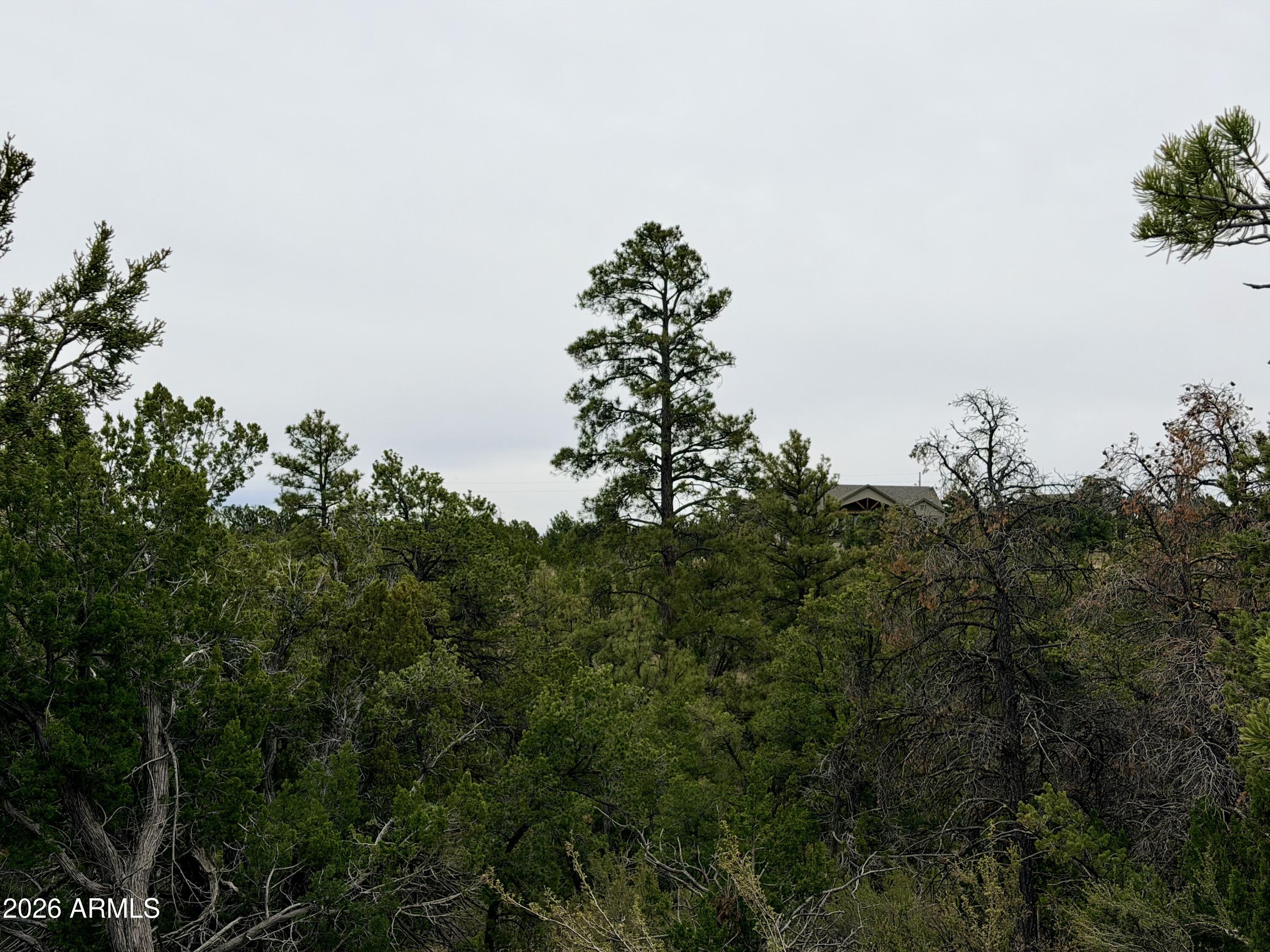 Don't  miss out on the opportunity to build your future mountain home or cabin on this expansive 5 acre parcel in the upscale subdivision of Mogollon Ranch in Happy Jack. Seller has already had site investigation done on the property for septic (septic does still need installed).  They have also had plans drawn for a beautiful mountain home (that could be provided or purchased for a small fee with the lot).  Don't waste time come see your future homesite. Roads are maintained year round and main street is asphalt so easy access. Escape the valley heat with just a 2 hour drive. Come see the beautiful mixture of Pines, Oaks and junipers, as well as the wildlife.