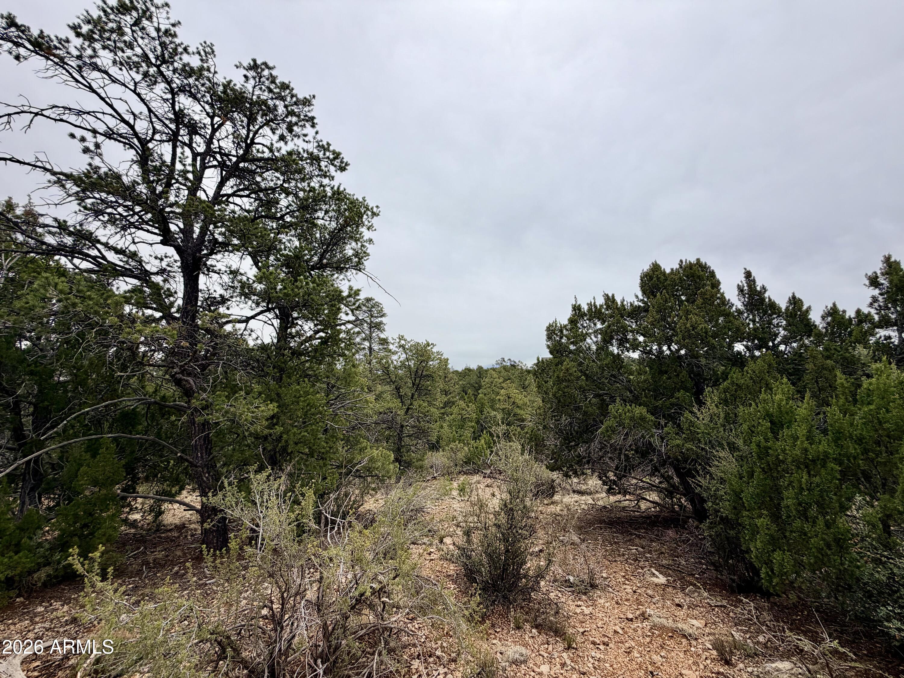 MOGOLLON RANCH 2 - Land