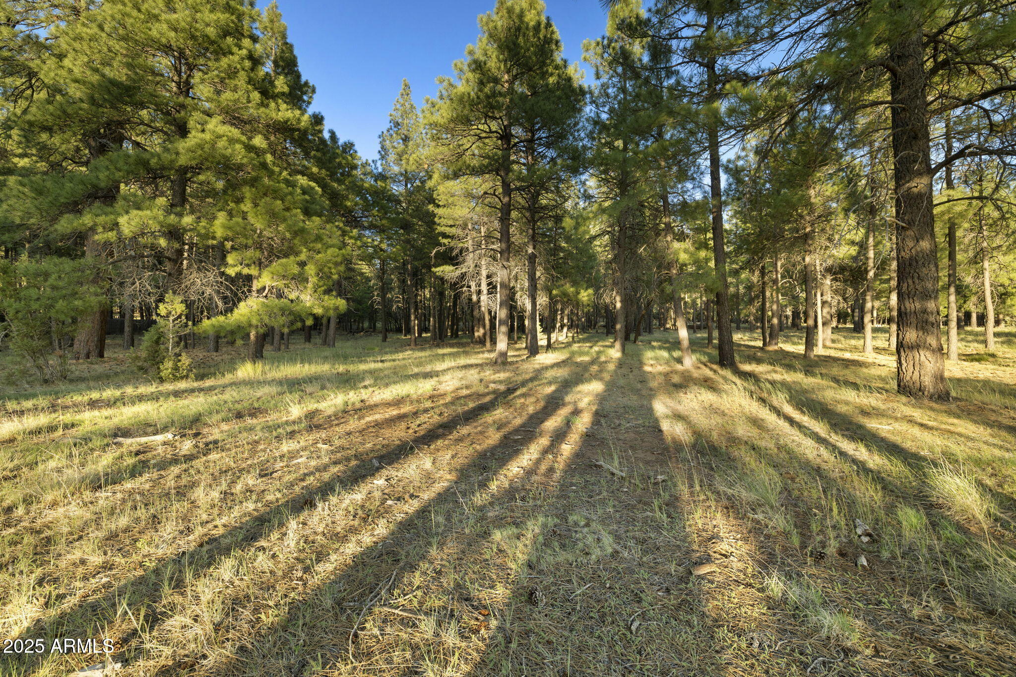 FOXBORO RANCH ESTATES - Land