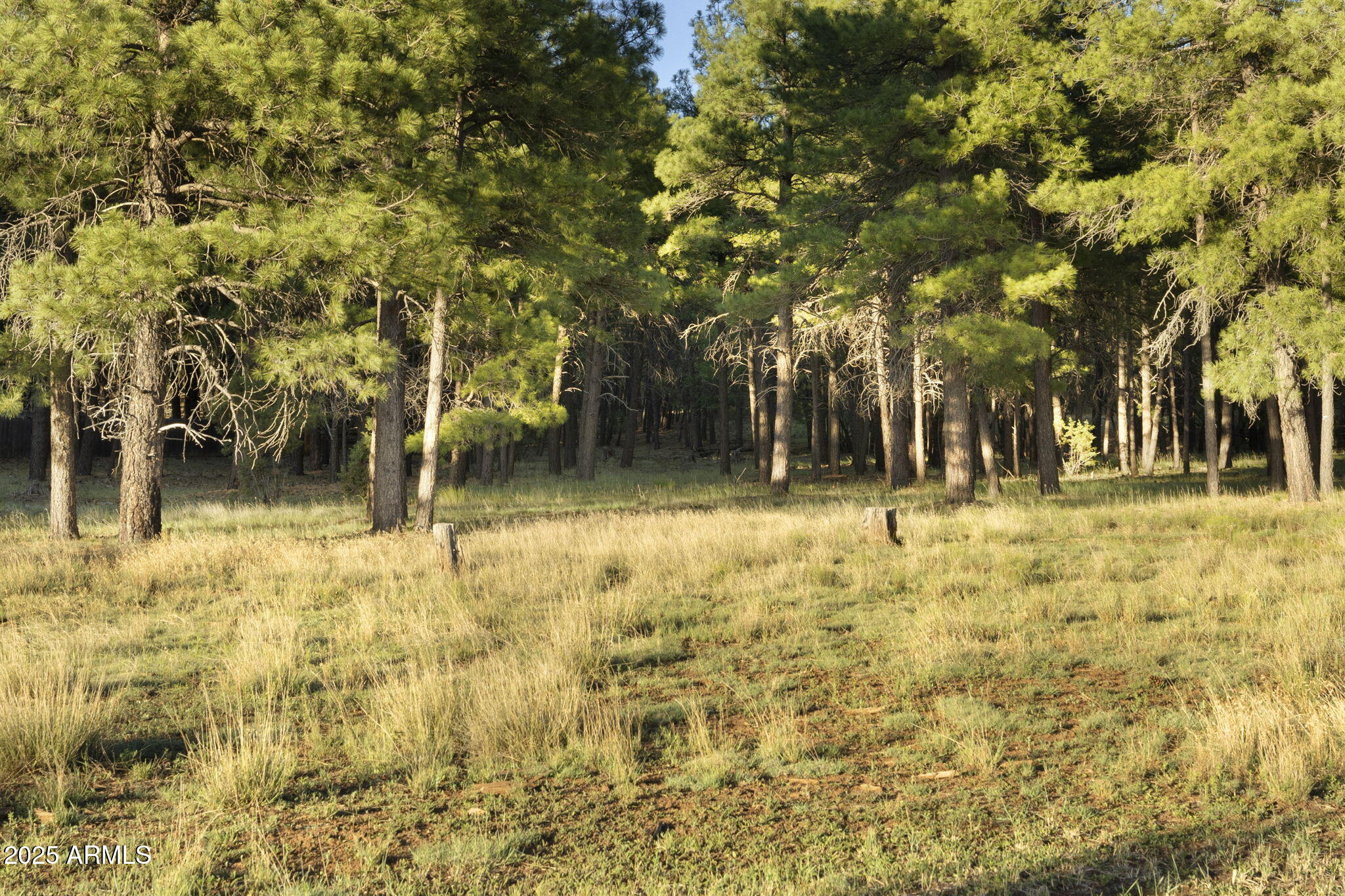 FOXBORO RANCH ESTATES - Land