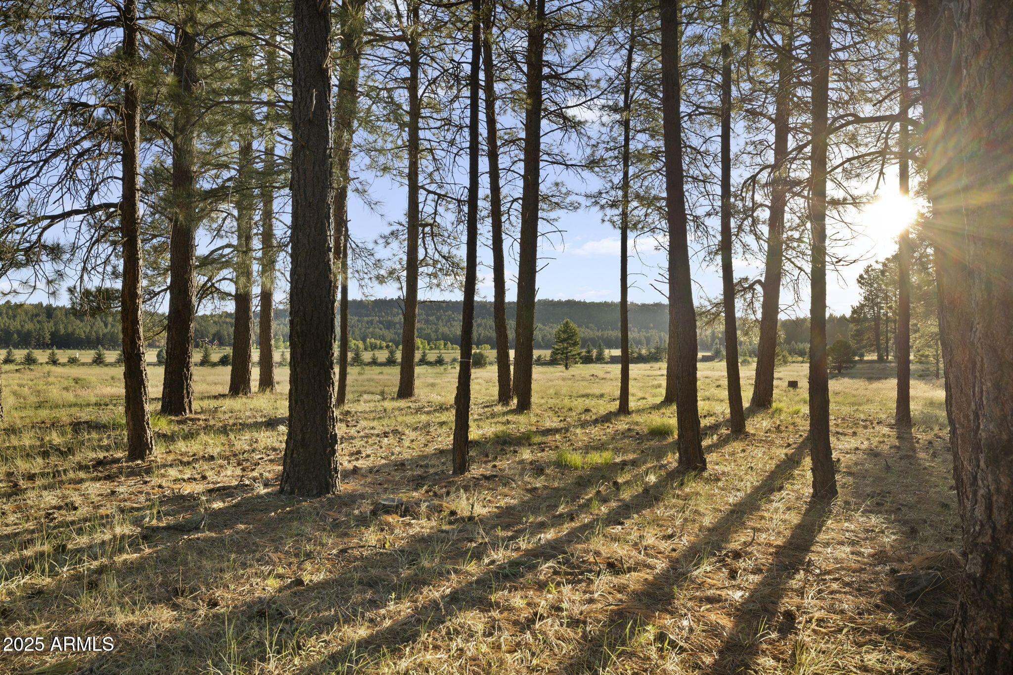 FOXBORO RANCH ESTATES - Land