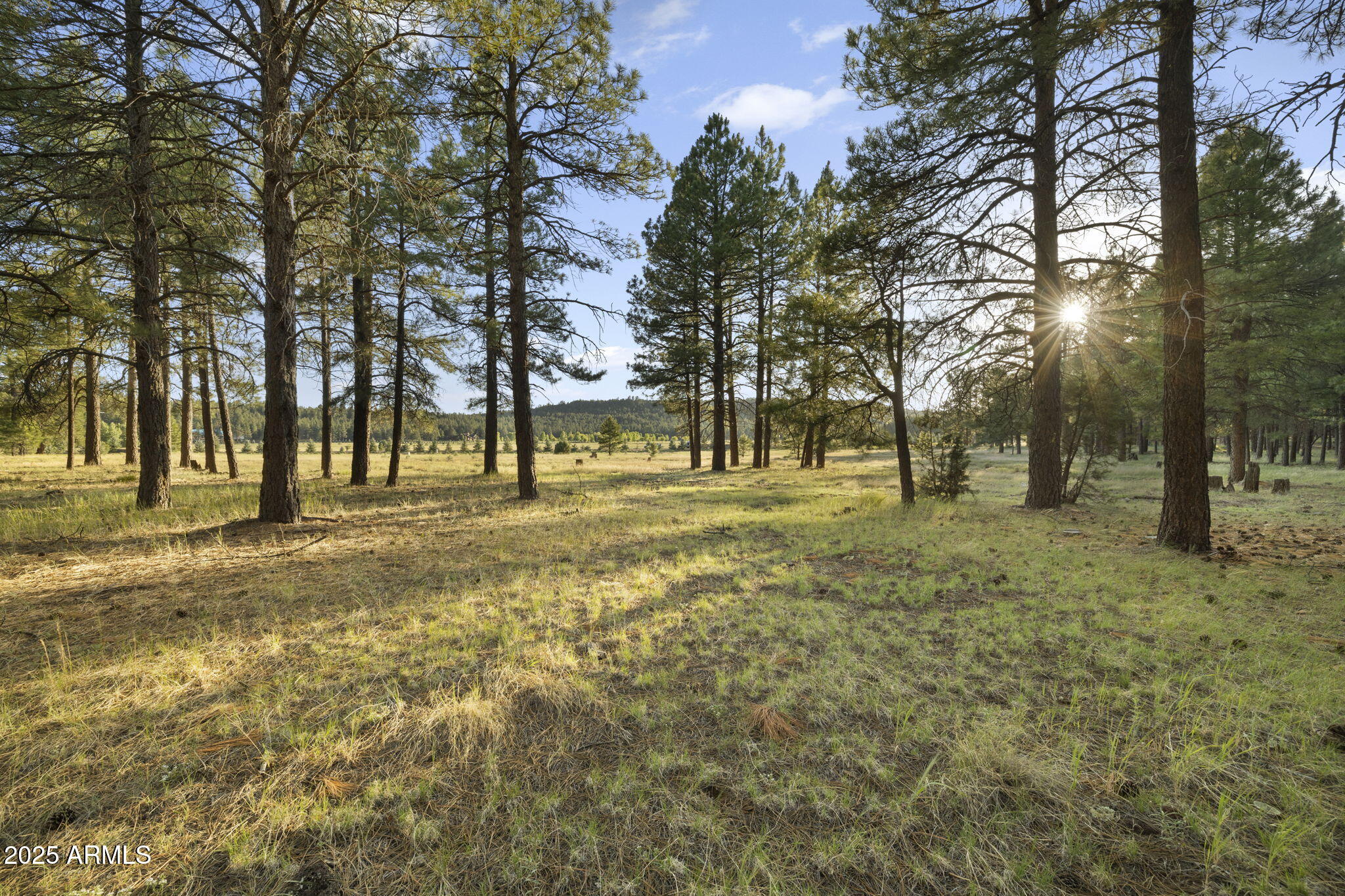 FOXBORO RANCH ESTATES - Land