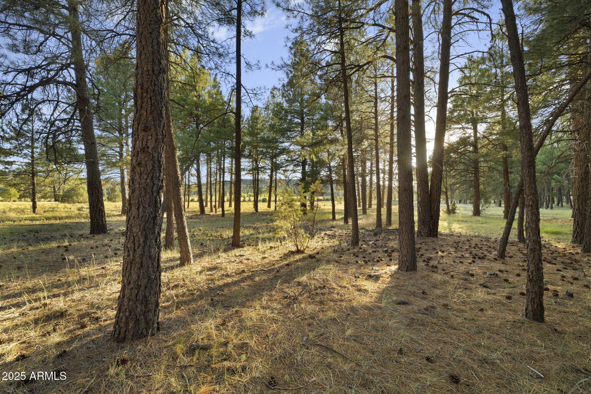 FOXBORO RANCH ESTATES - Land
