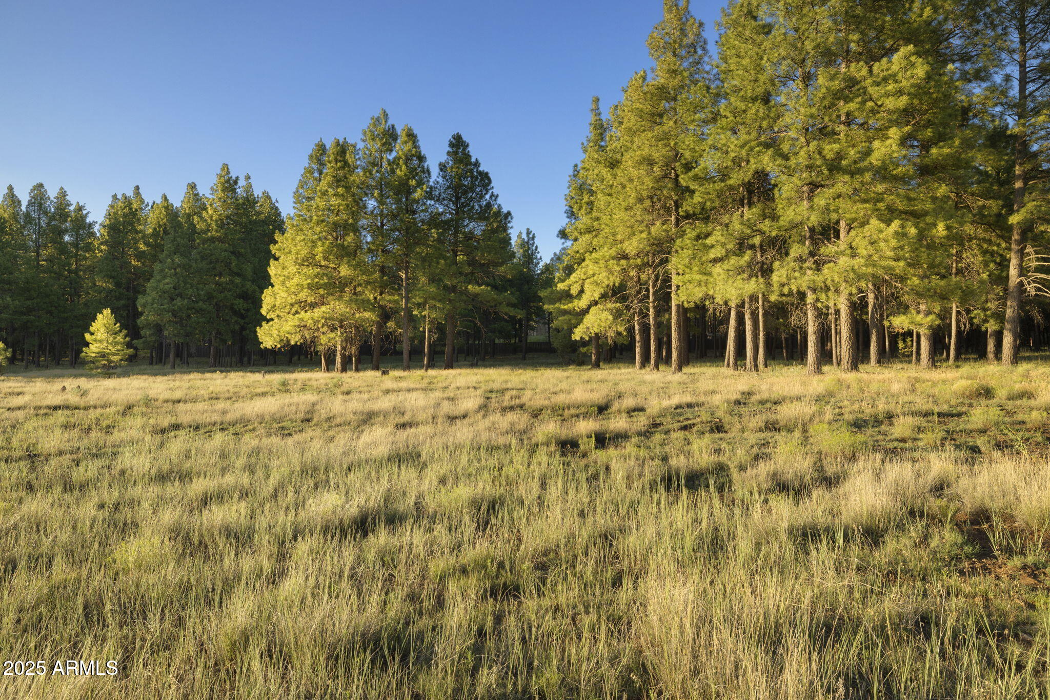 FOXBORO RANCH ESTATES - Land
