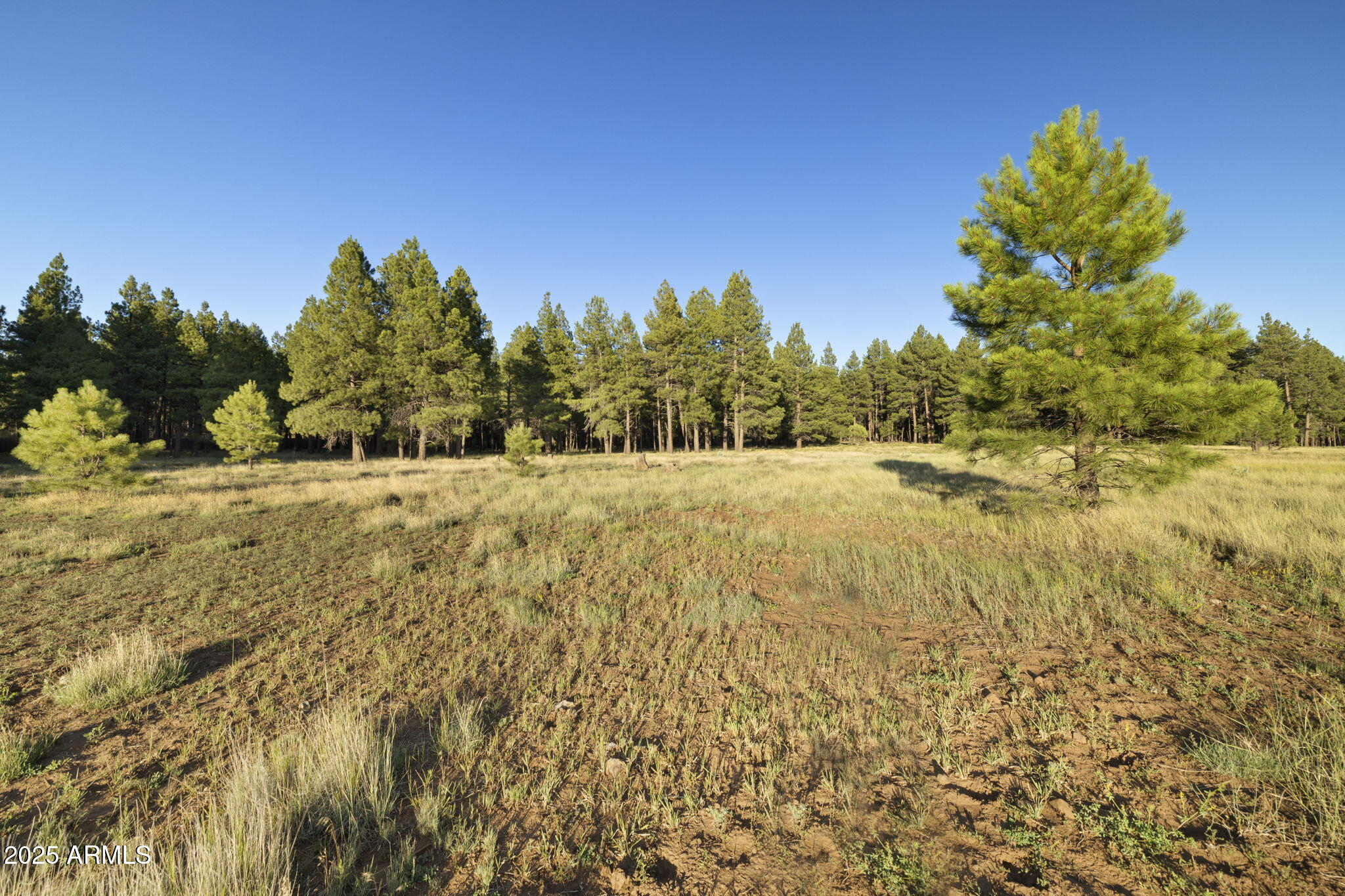 FOXBORO RANCH ESTATES - Land