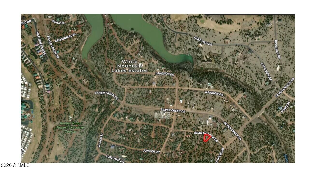 WHITE MOUNTAIN LAKE ESTATES - Land