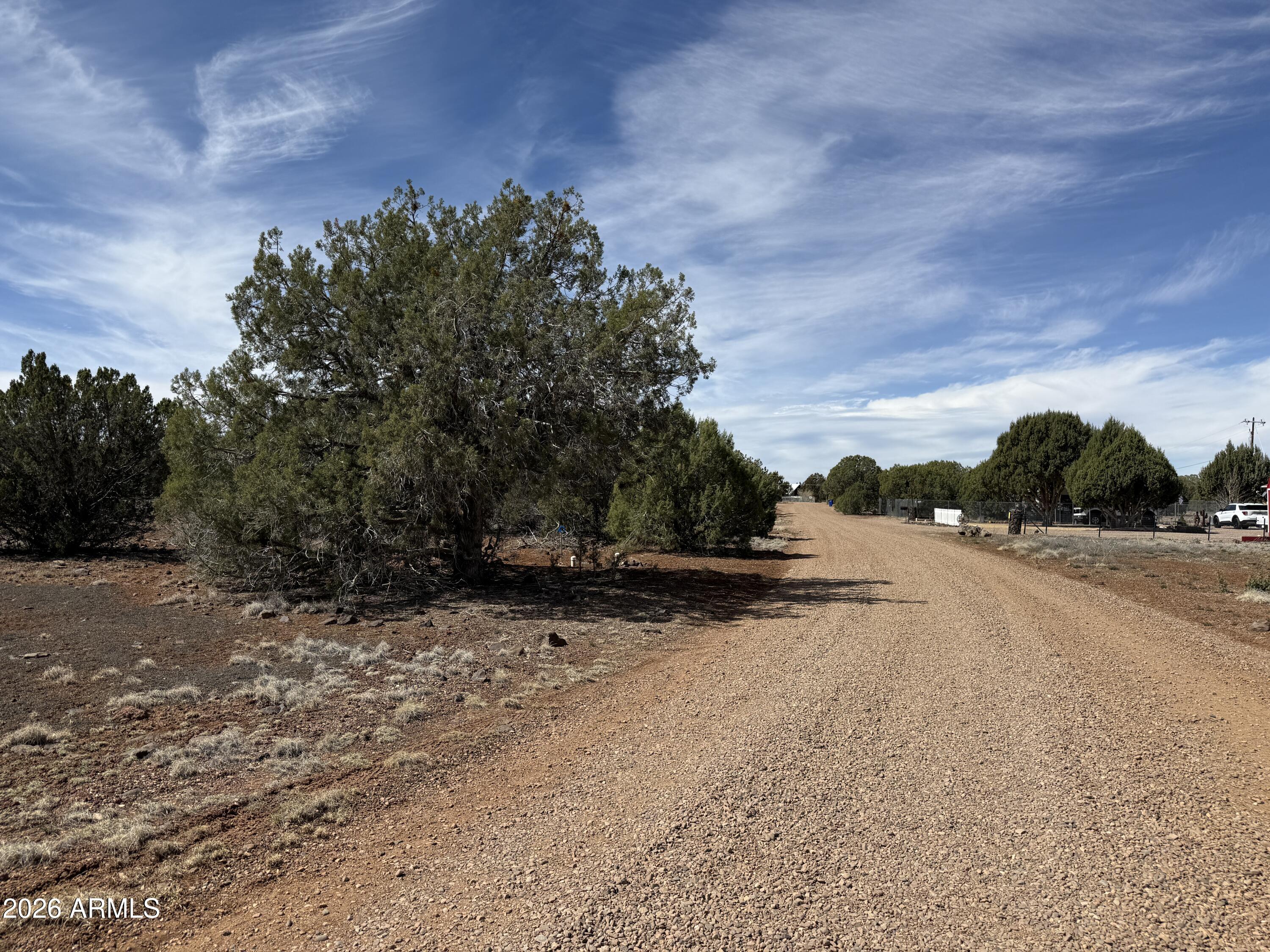 WHITE MOUNTAIN LAKE ESTATES - Land