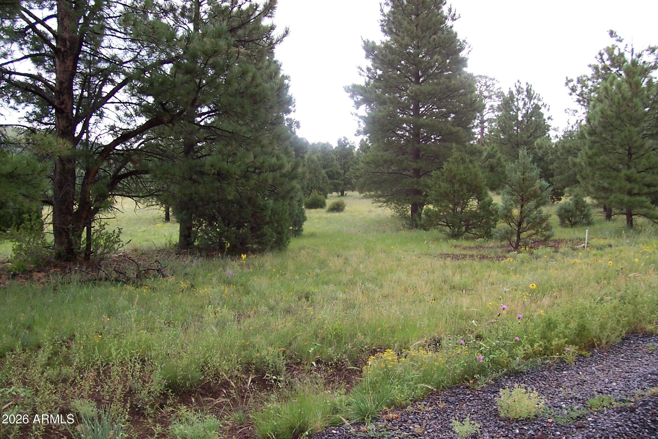RED CABIN RANCH UNIT 2 - Land