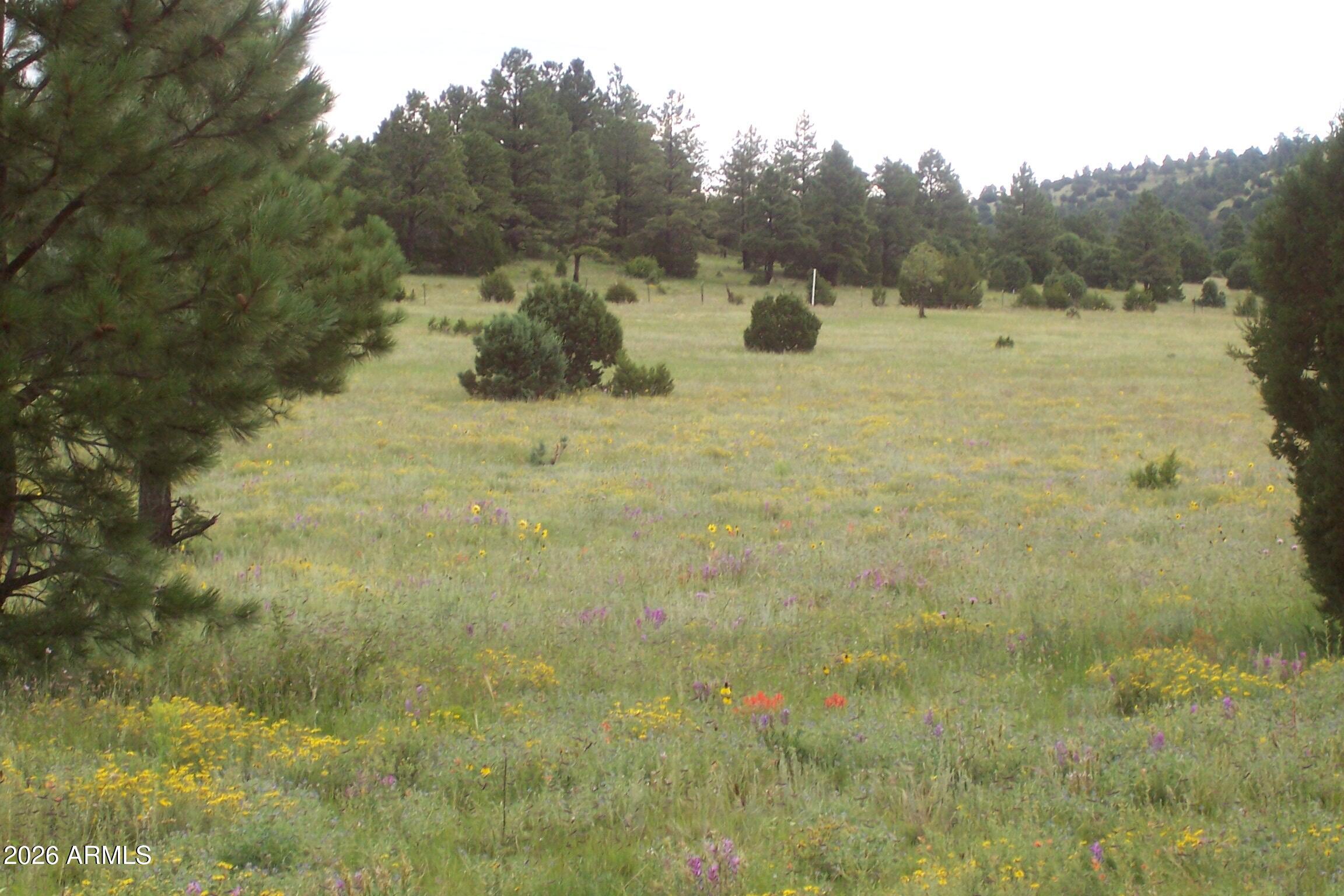 RED CABIN RANCH UNIT 2 - Land