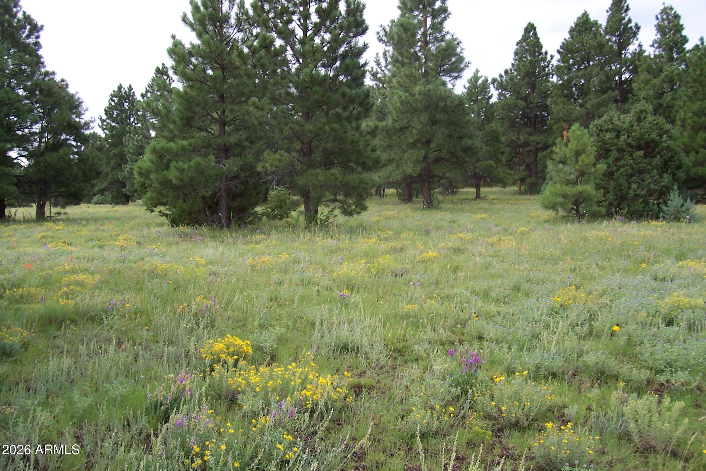 RED CABIN RANCH UNIT 2 - Land