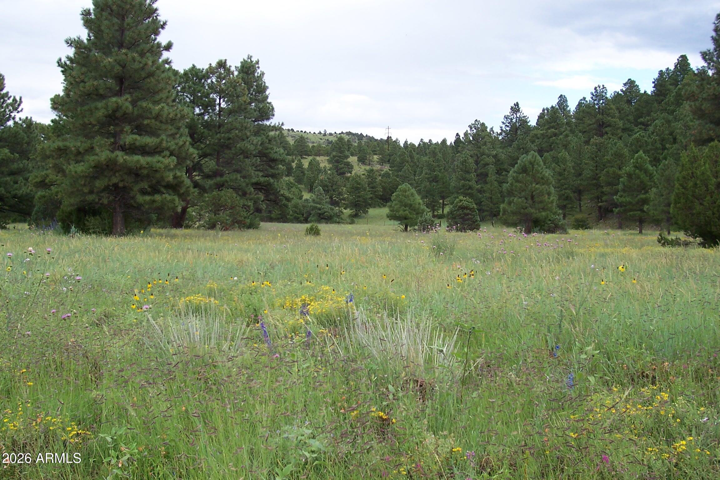 RED CABIN RANCH UNIT 2 - Land