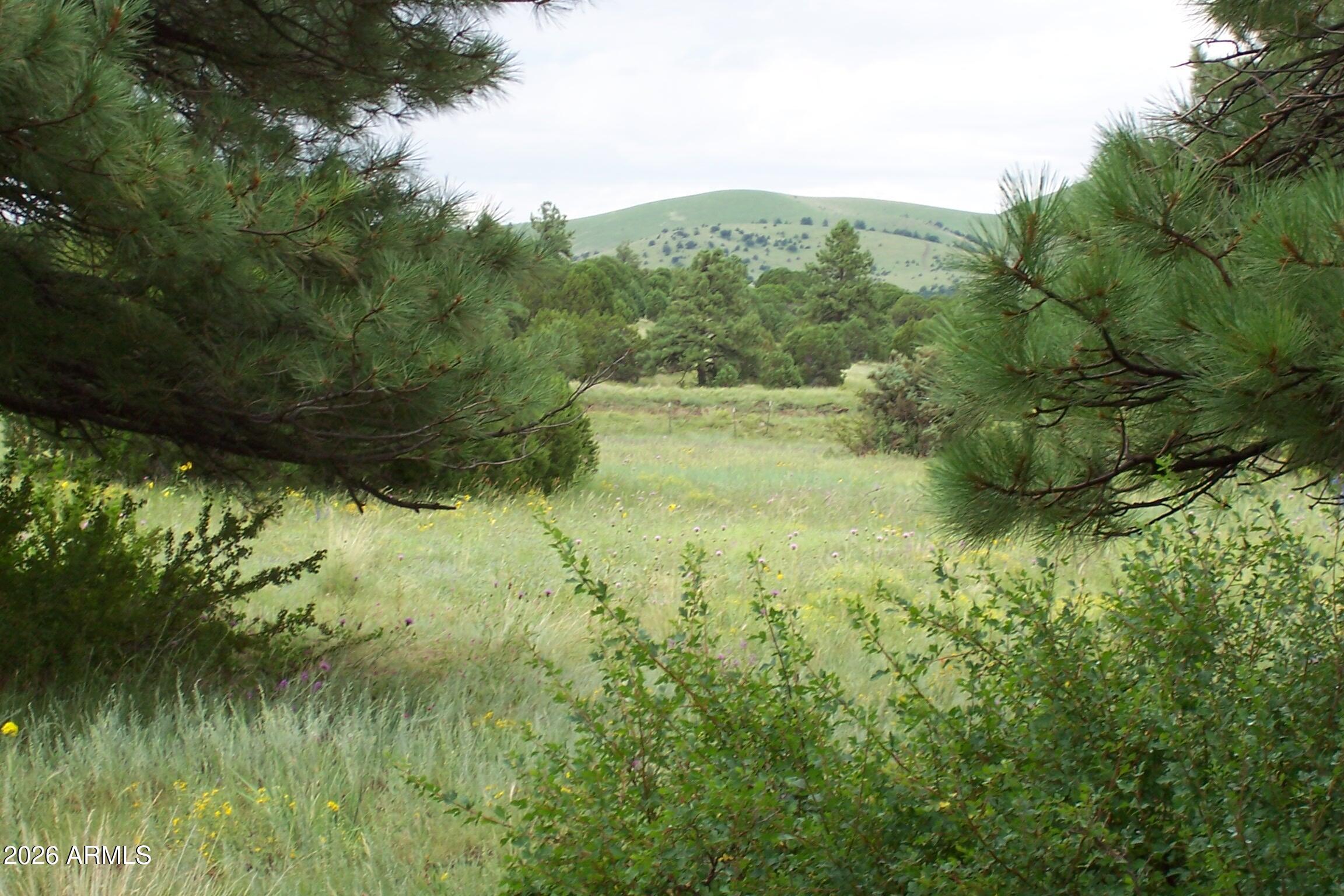 RED CABIN RANCH UNIT 2 - Land