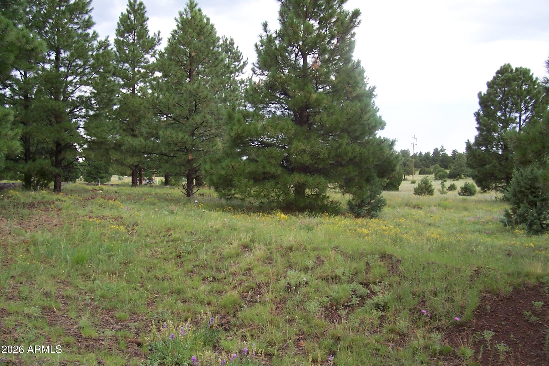 RED CABIN RANCH UNIT 2 - Land
