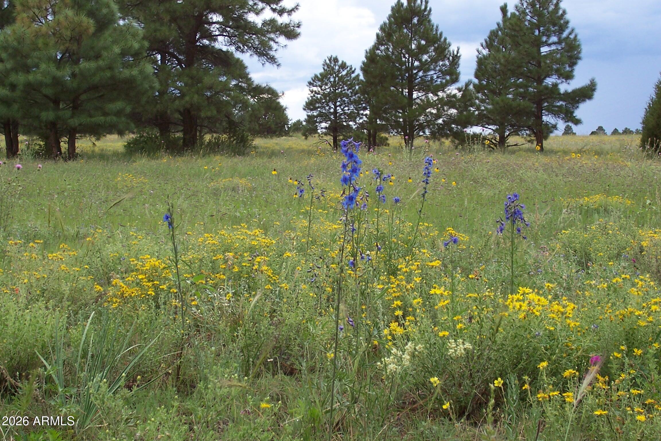 RED CABIN RANCH UNIT 2 - Land
