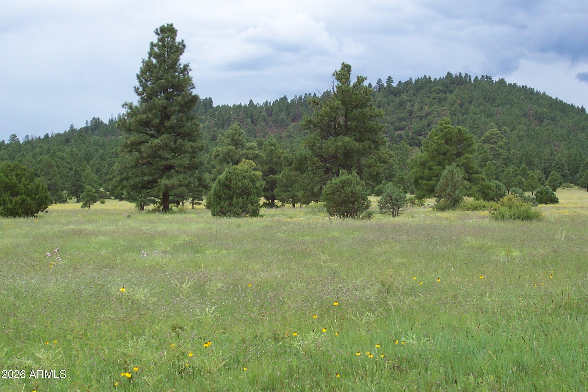 RED CABIN RANCH UNIT 2 - Land