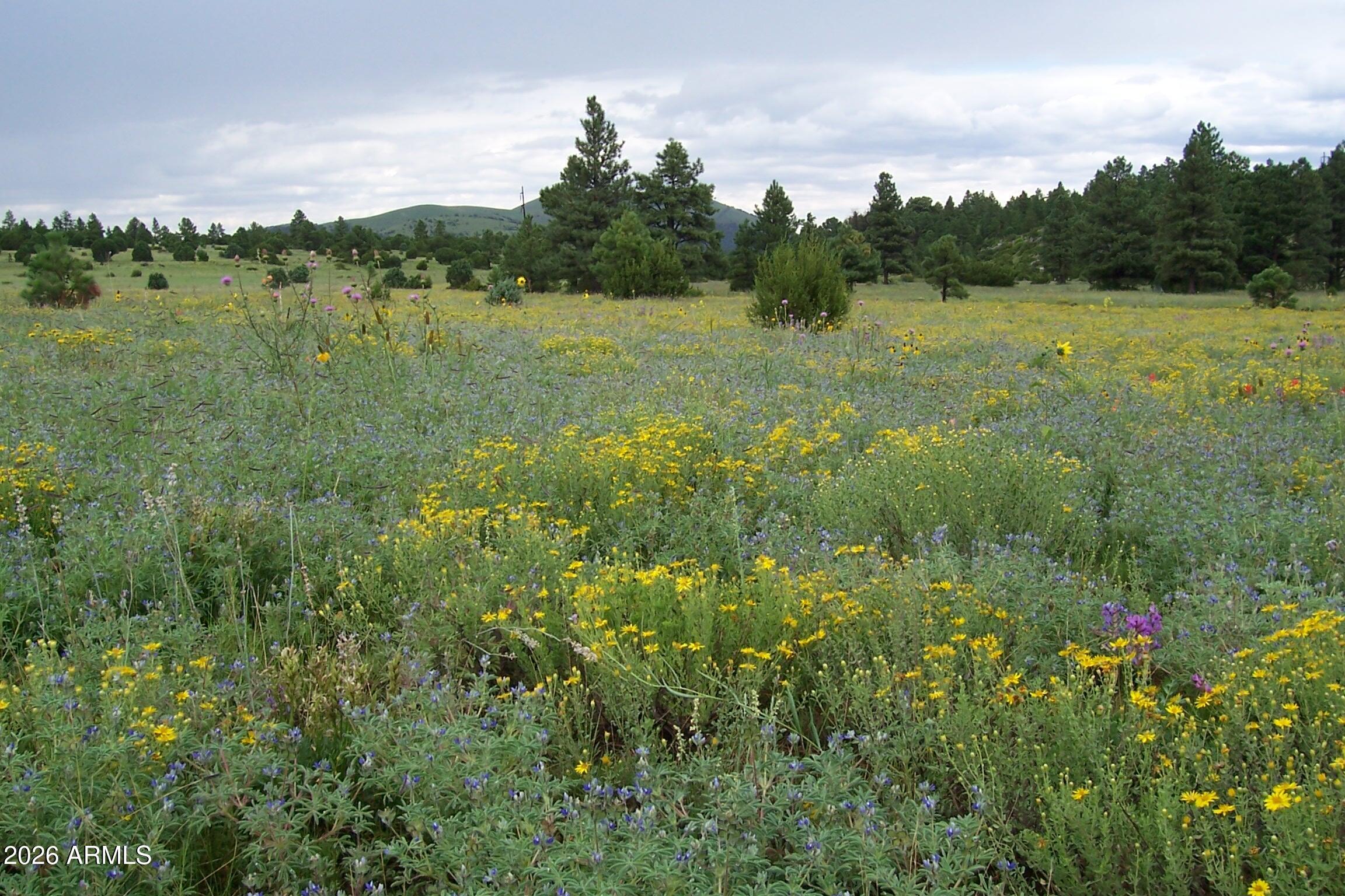 RED CABIN RANCH UNIT 2 - Land