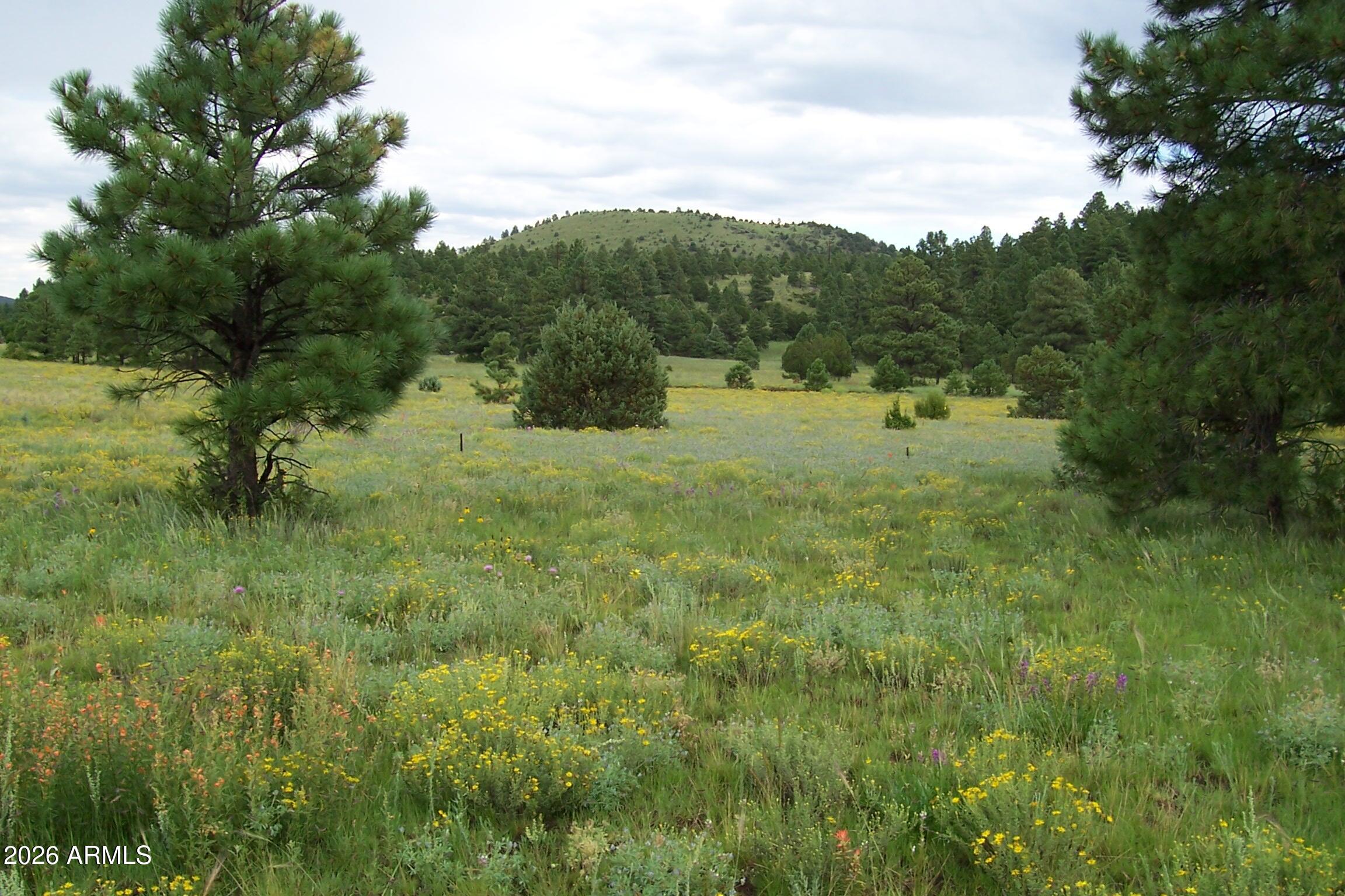 RED CABIN RANCH UNIT 2 - Land