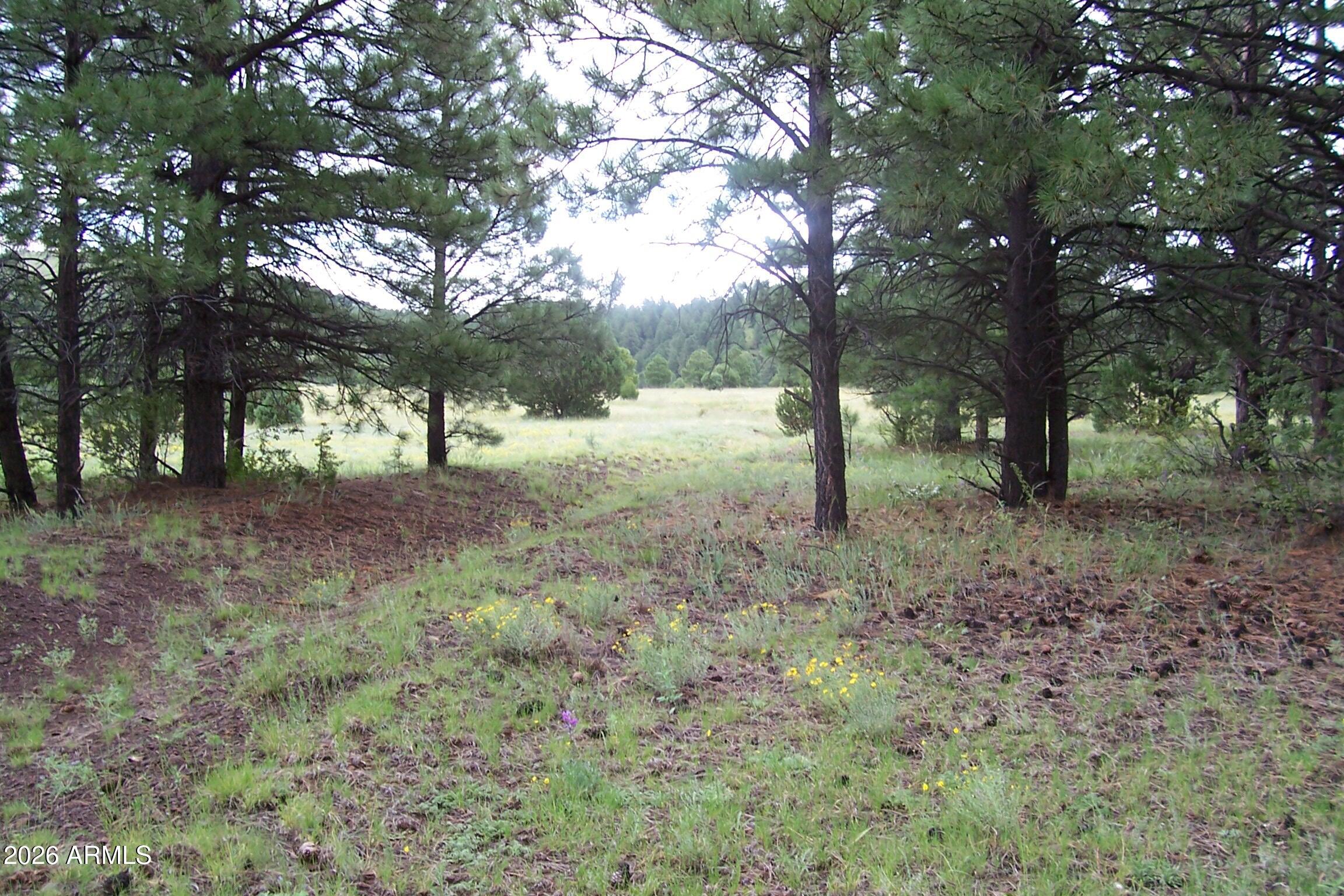RED CABIN RANCH UNIT 2 - Land