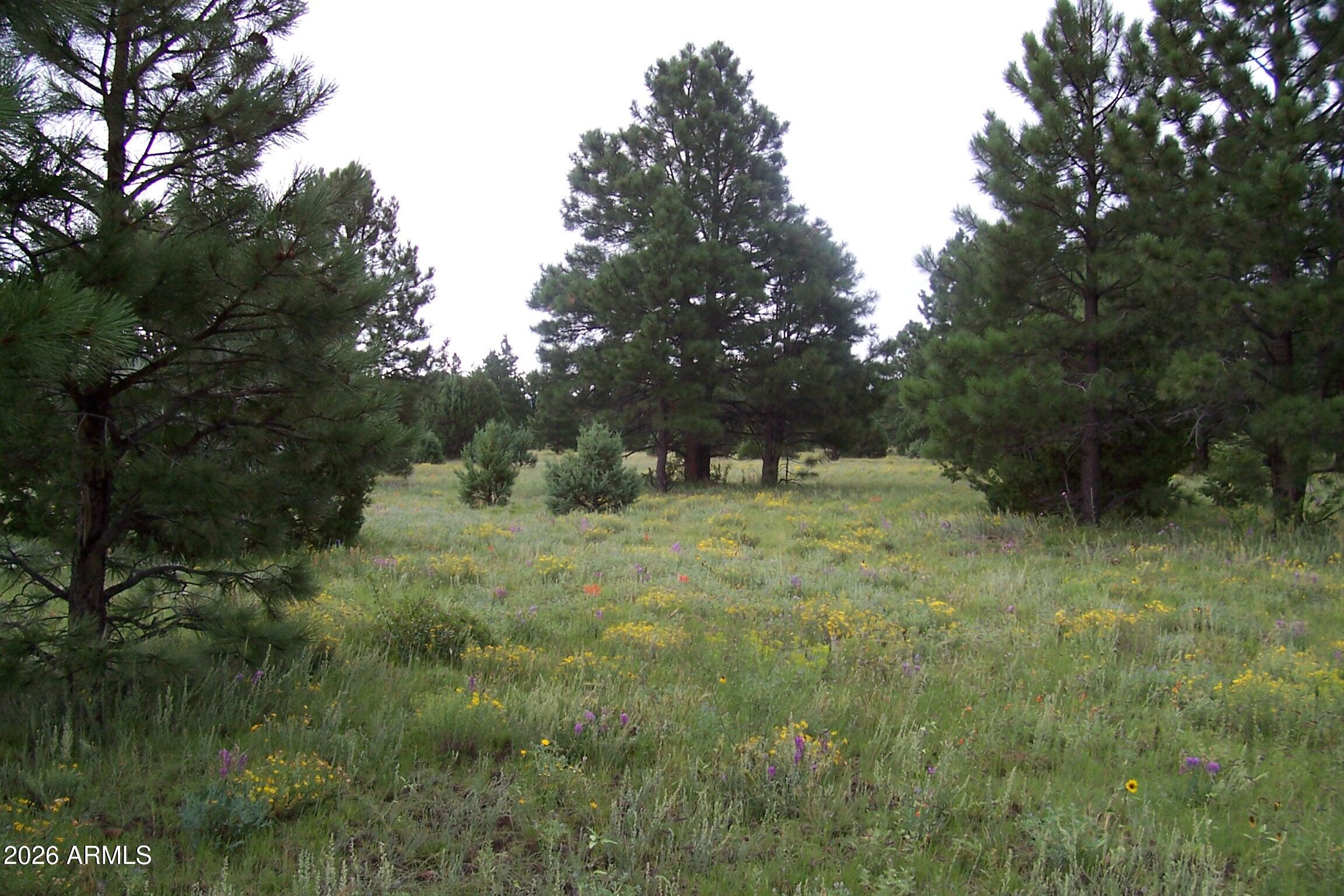 RED CABIN RANCH UNIT 2 - Land
